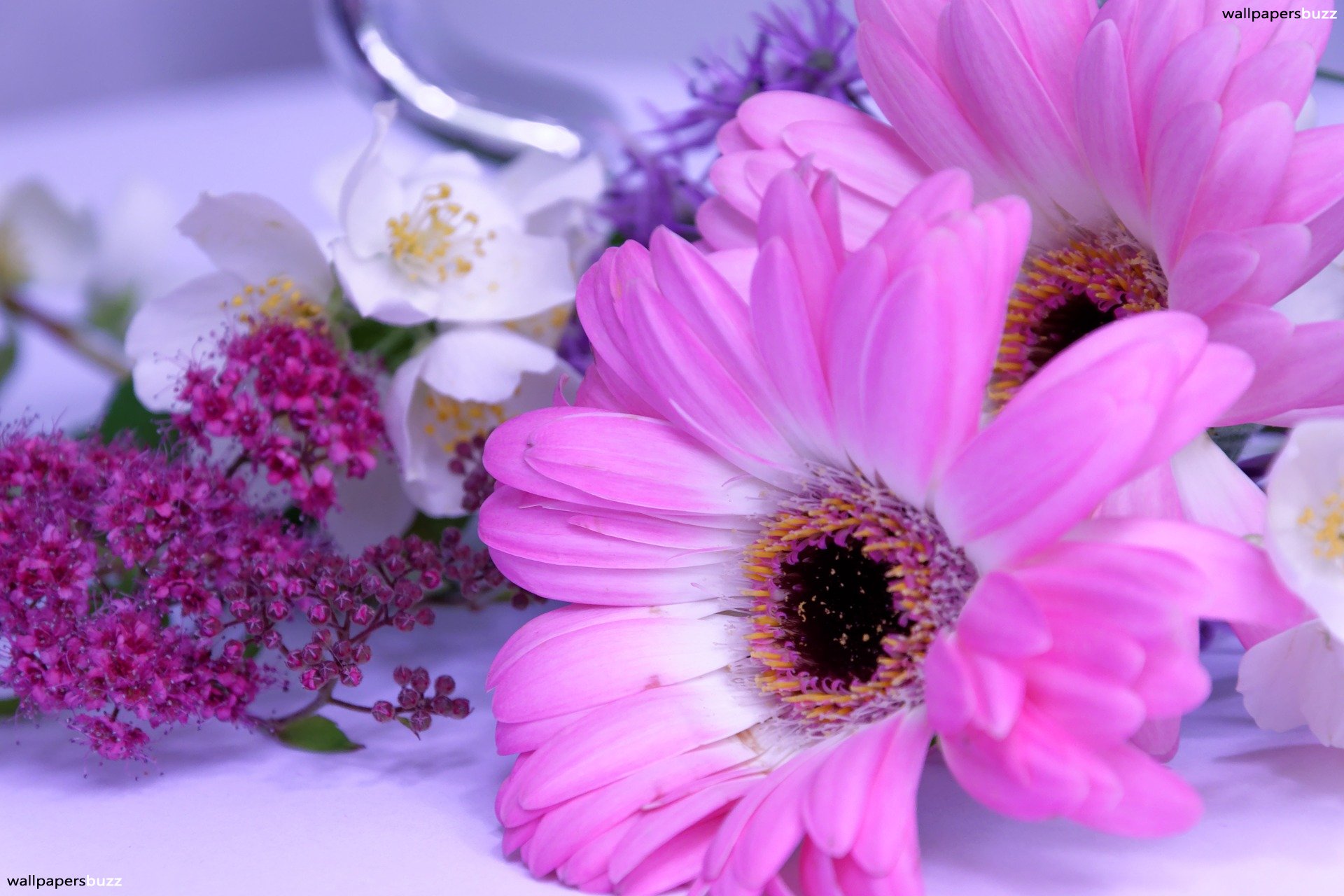 Pink flowers on the table HD Wallpaper