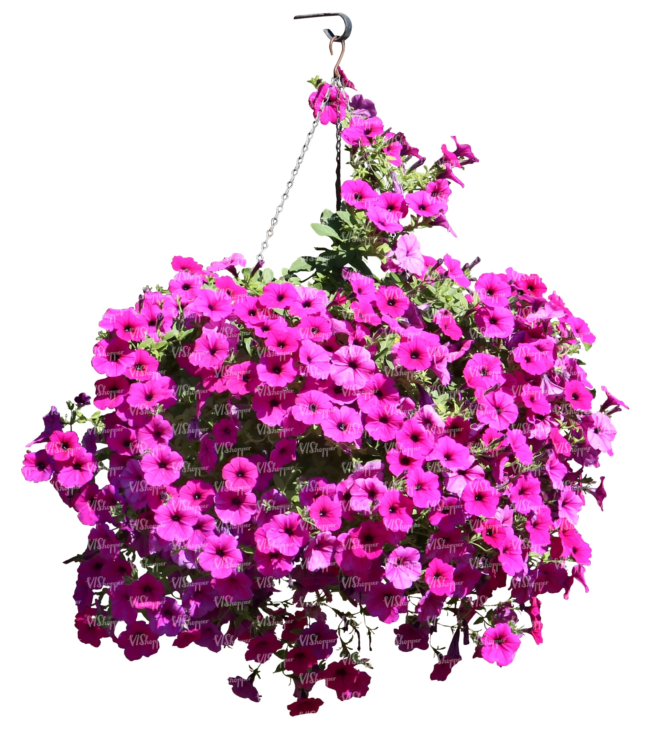 hanging basket with pink flowers - cut out trees and plants - VIShopper