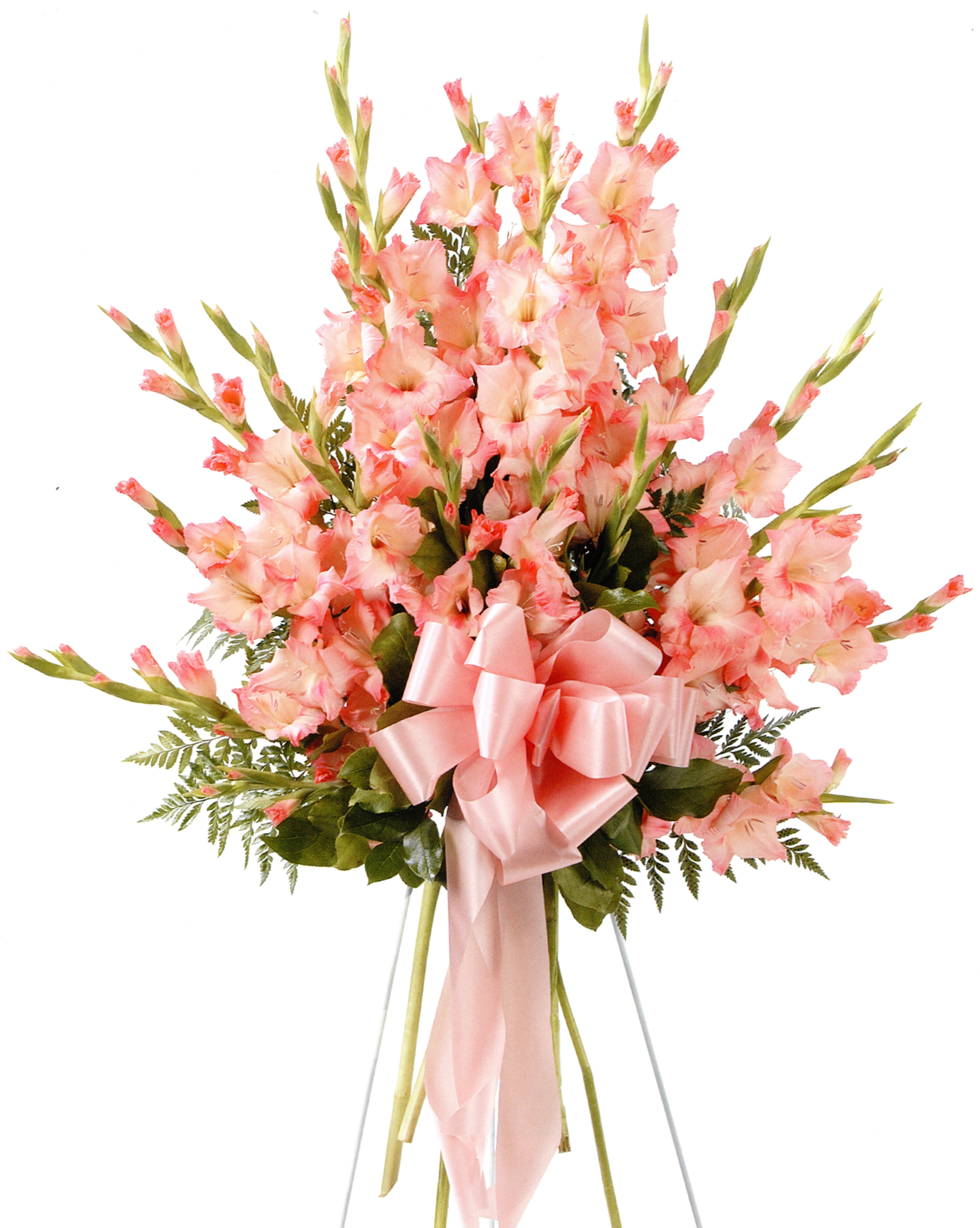 Pink Flowers | Carnes Flowers