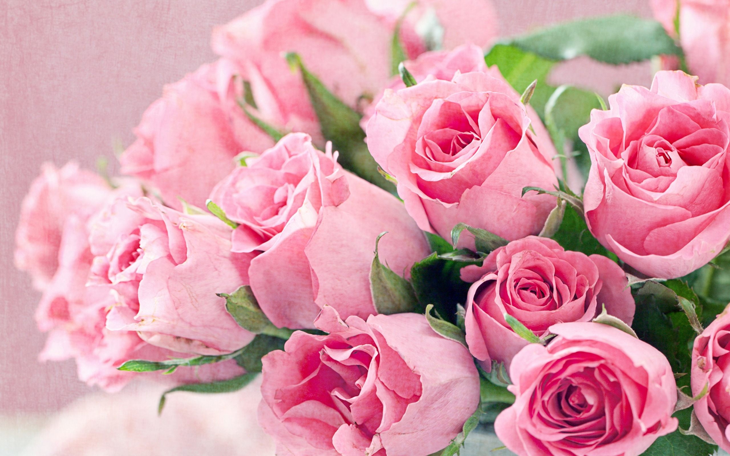 Fresh Flowers Bouquet Of Pink Roses Hd Desktop Backgrounds Free ...
