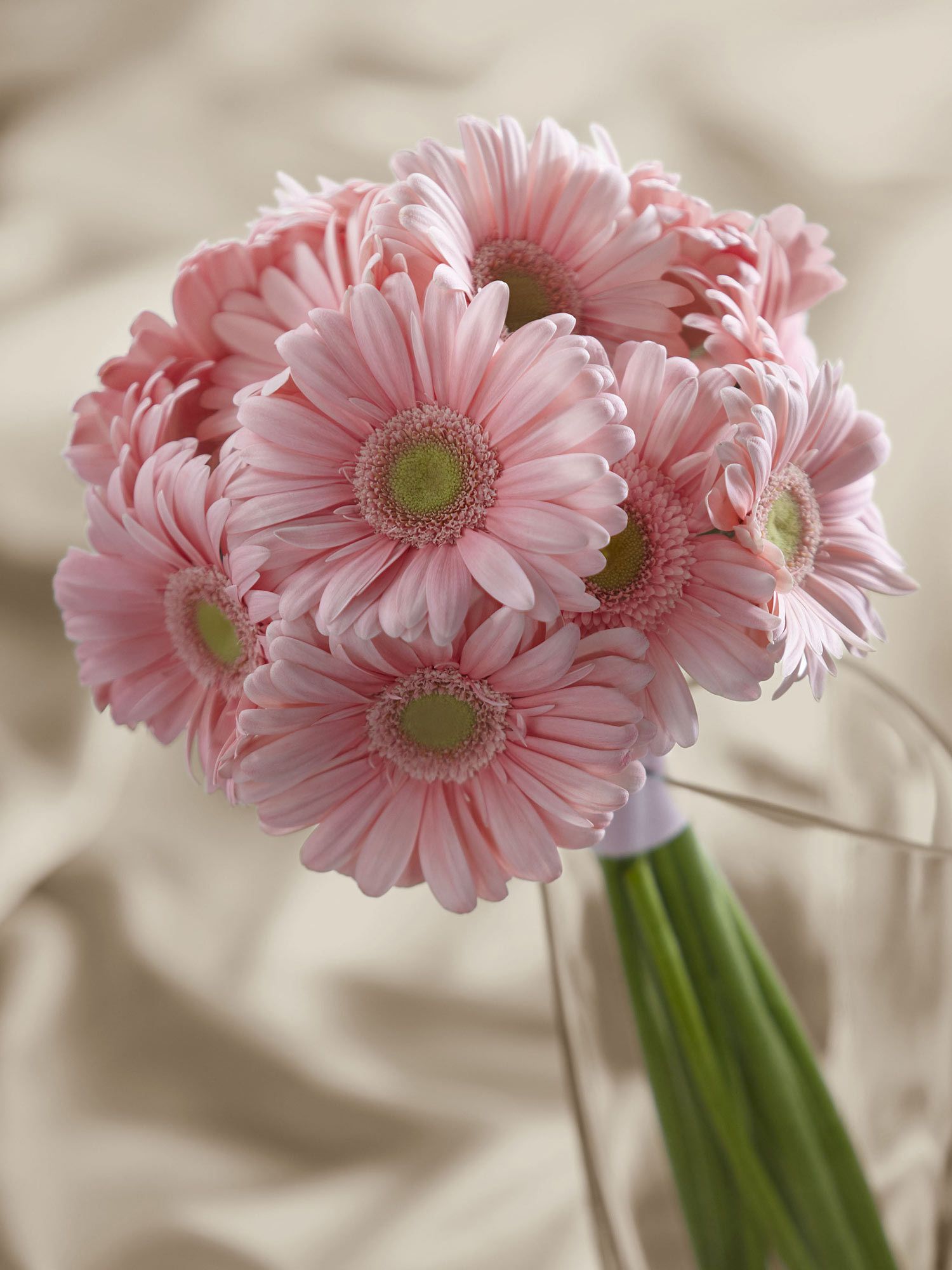 Pink Gerbera Bouquet - maybe a different color but simple and ...