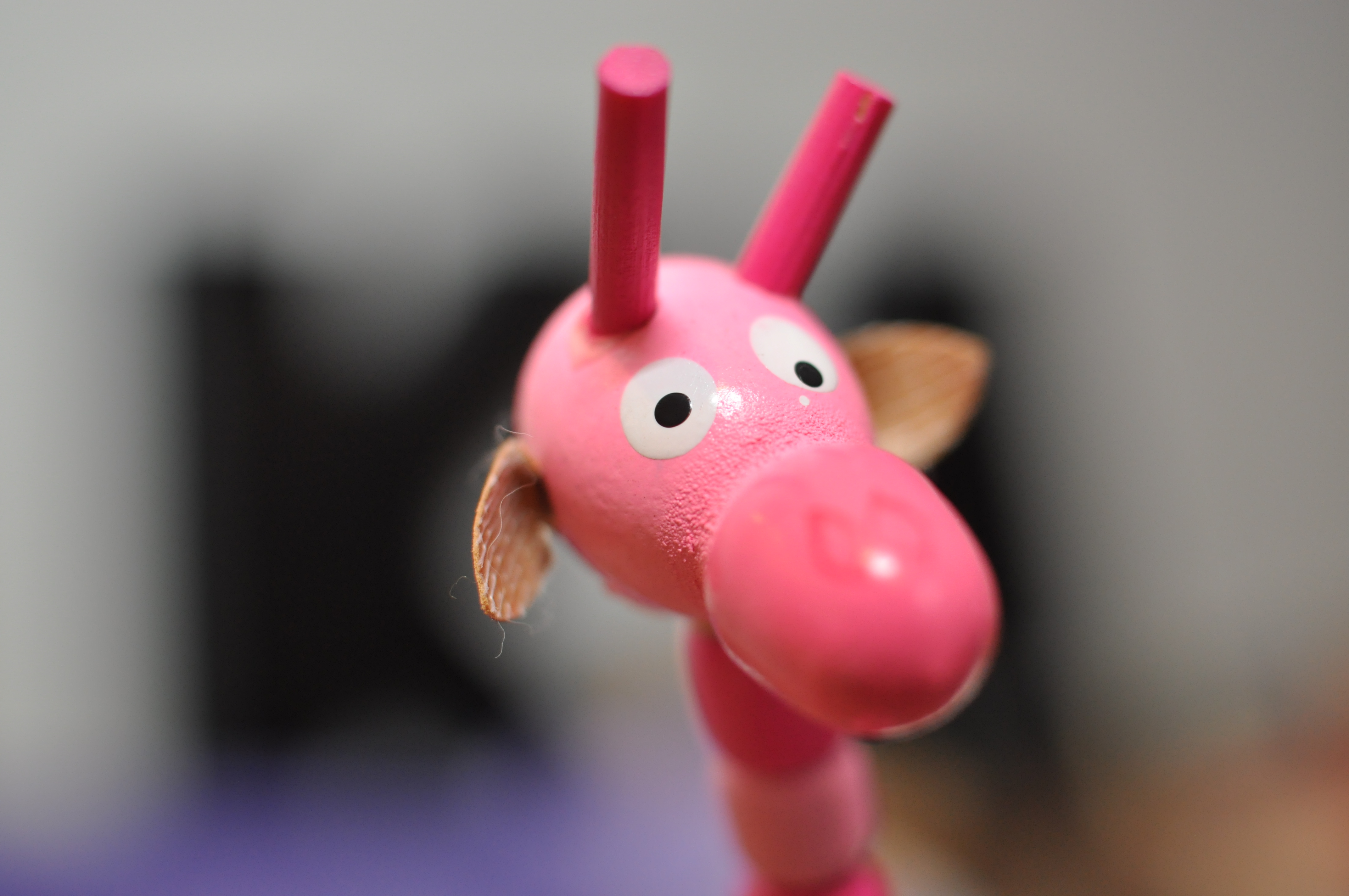 Pink giraffe photo