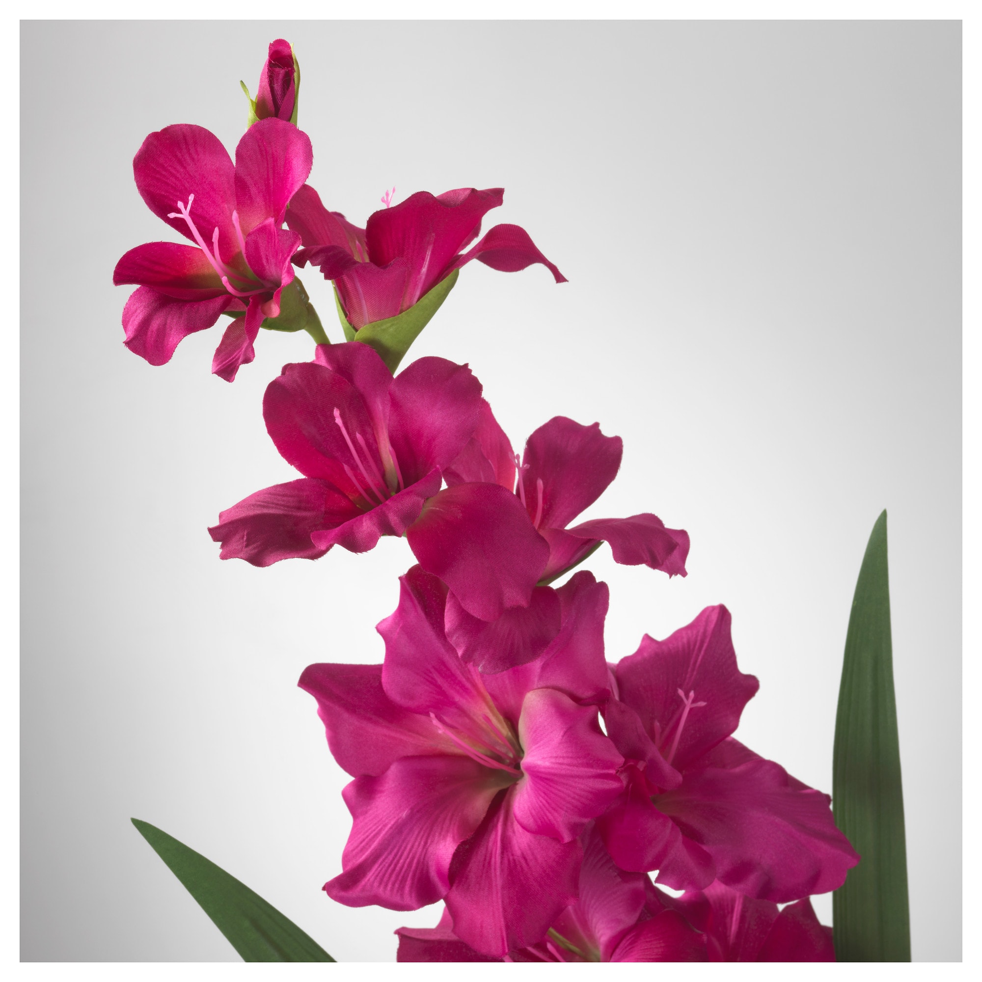 SMYCKA Artificial flower Gladiolus/dark pink 100 cm - IKEA