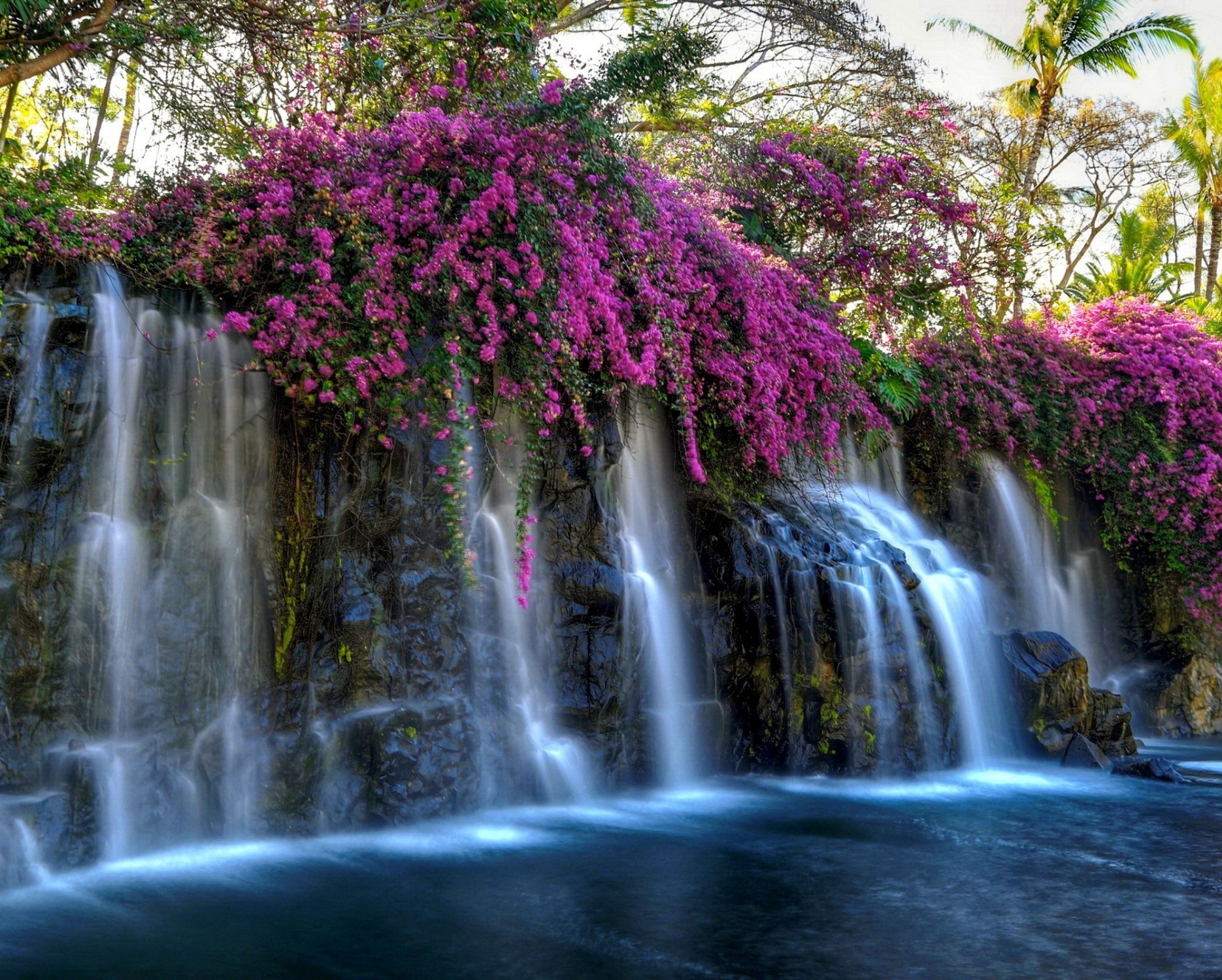 Download 1870x1500 Waterfall, Pink Flowers, Pond, Rocks, Moss ...
