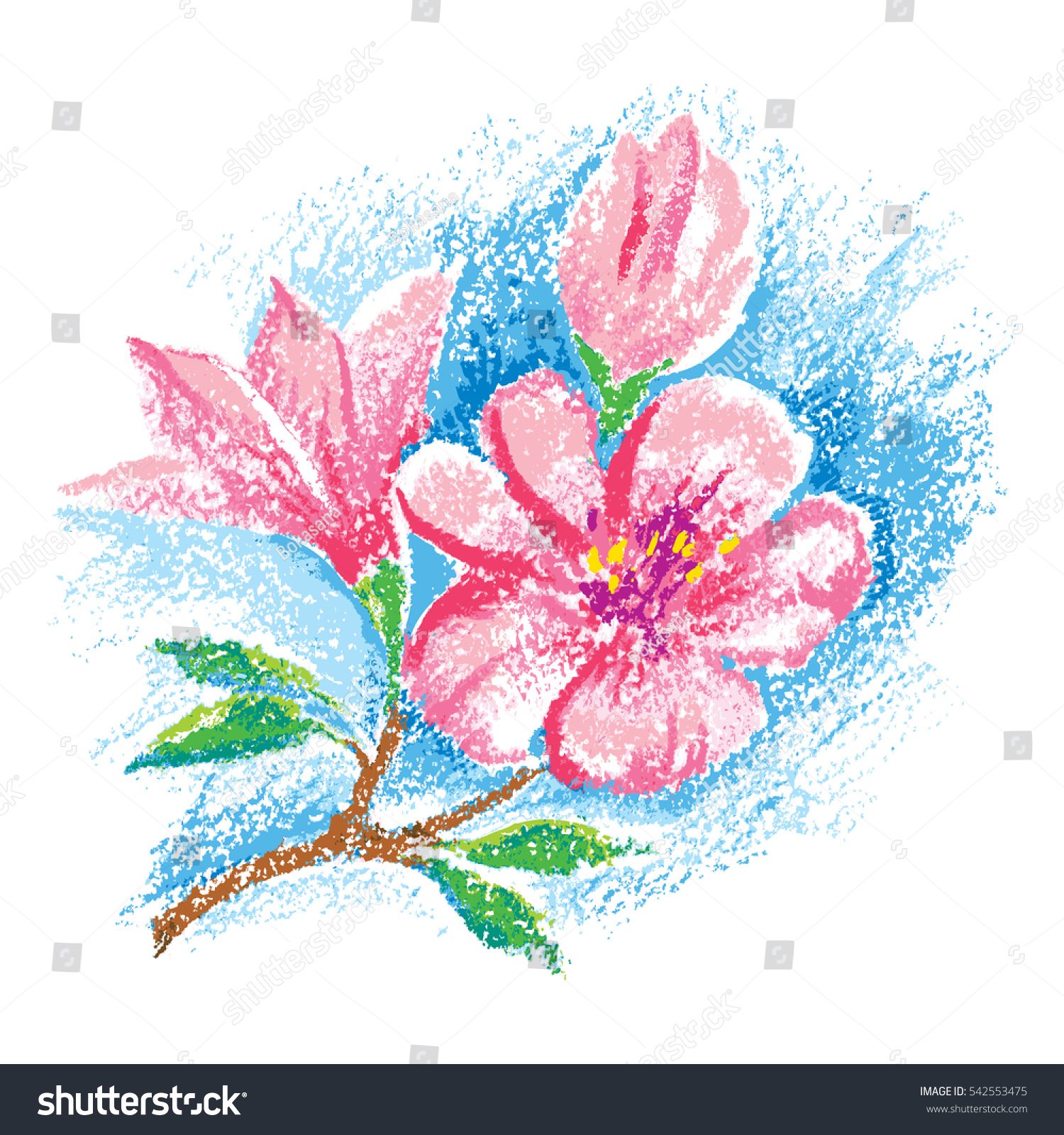 Illustration Oil Pastel Magnolia Flower Pink Stock Illustration ...