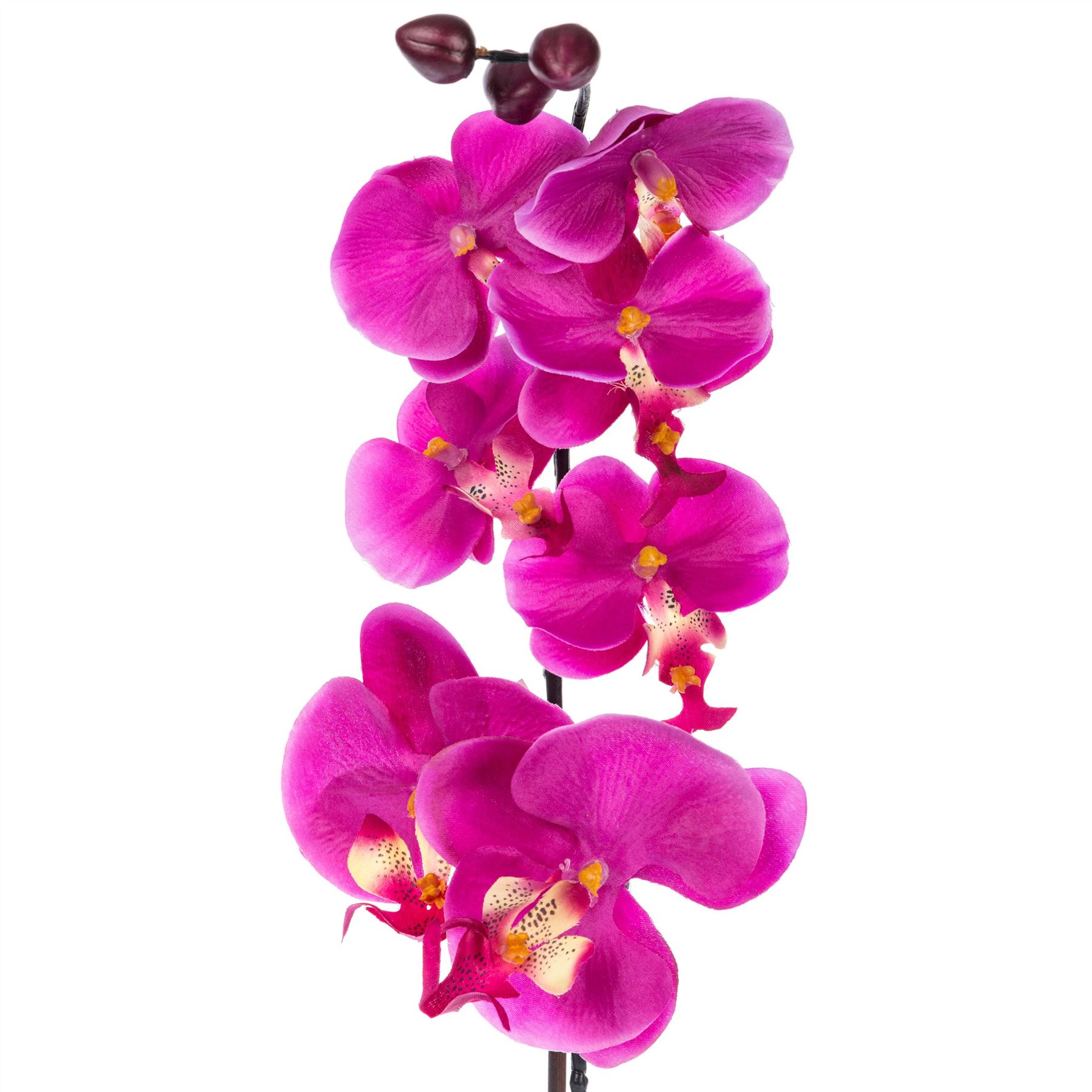 Black & Cerise Pink Orchid Tall Artificial Plant with Contemporary ...
