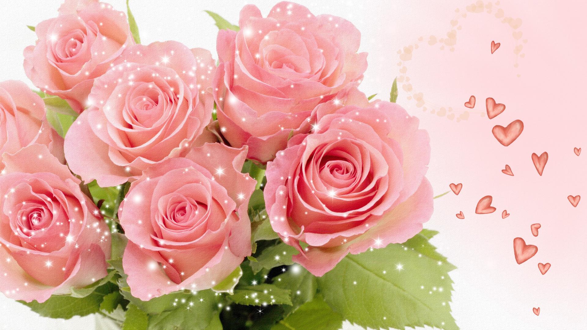 Pleasing High Pink Rose Strikingly Bouquet Wallpaper 2452 Flowers HD ...