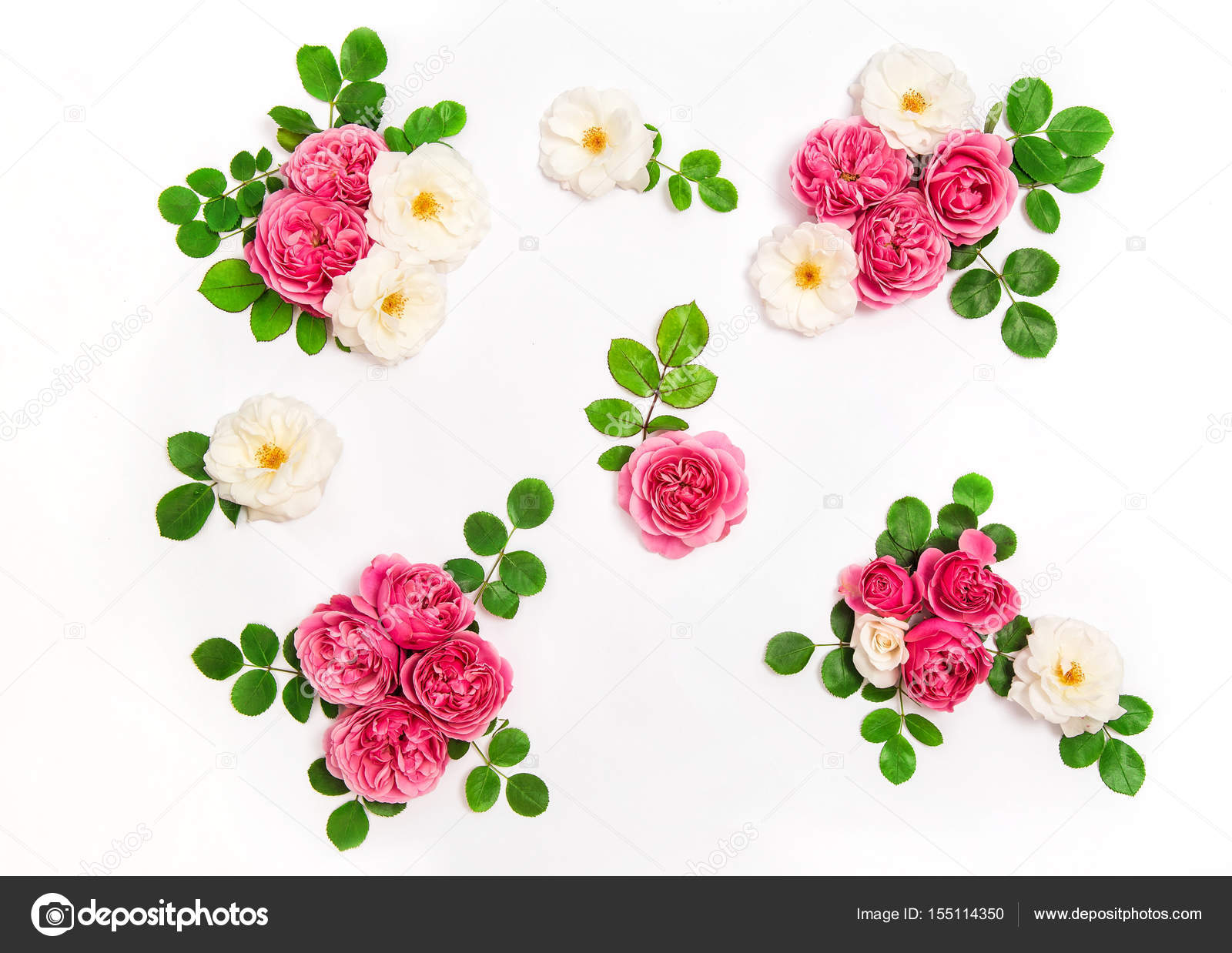 White pink rose flowers green leaves Floral flat lay — Stock Photo ...