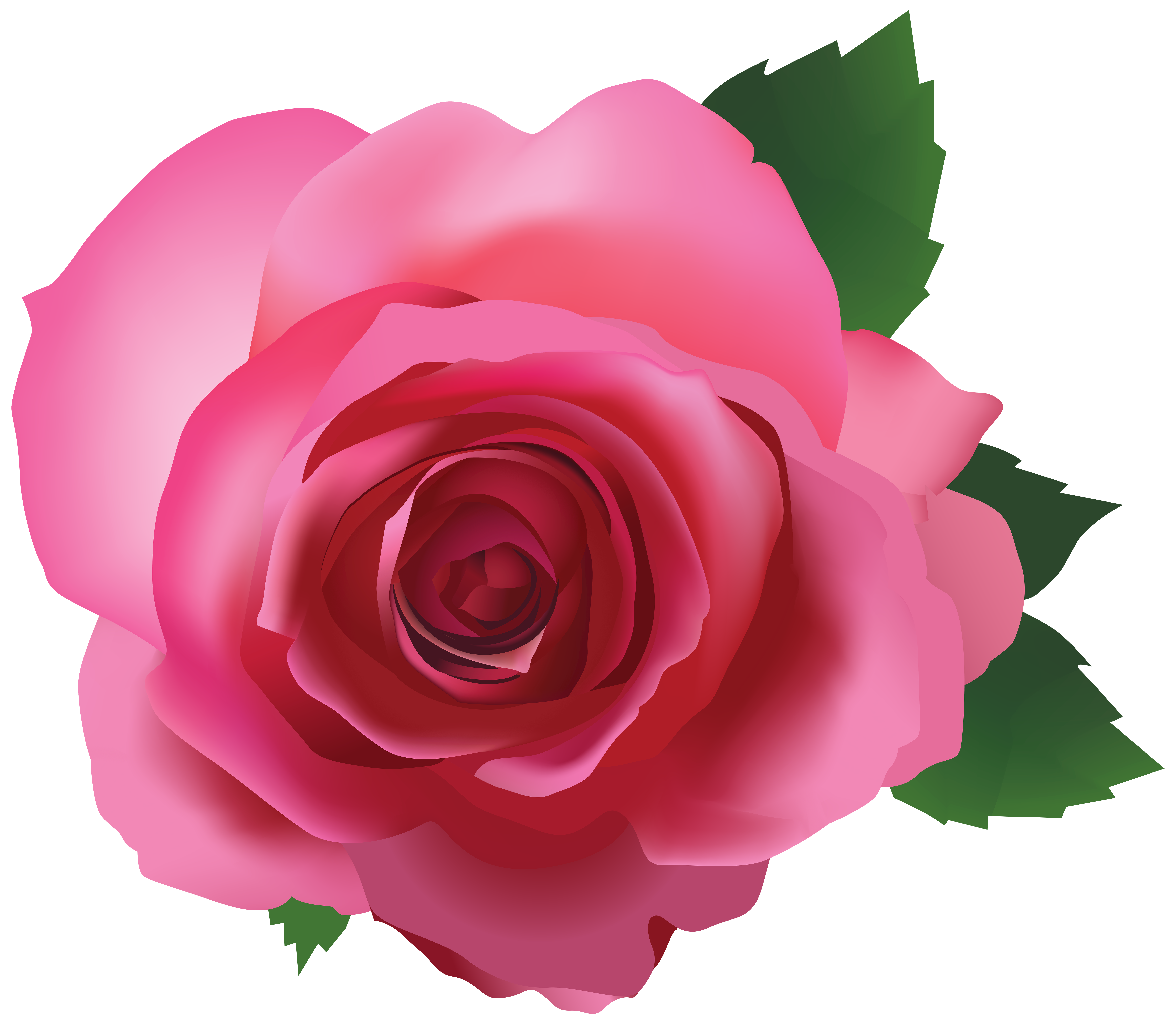 Pink Rose Transparent PNG Image | Gallery Yopriceville - High ...