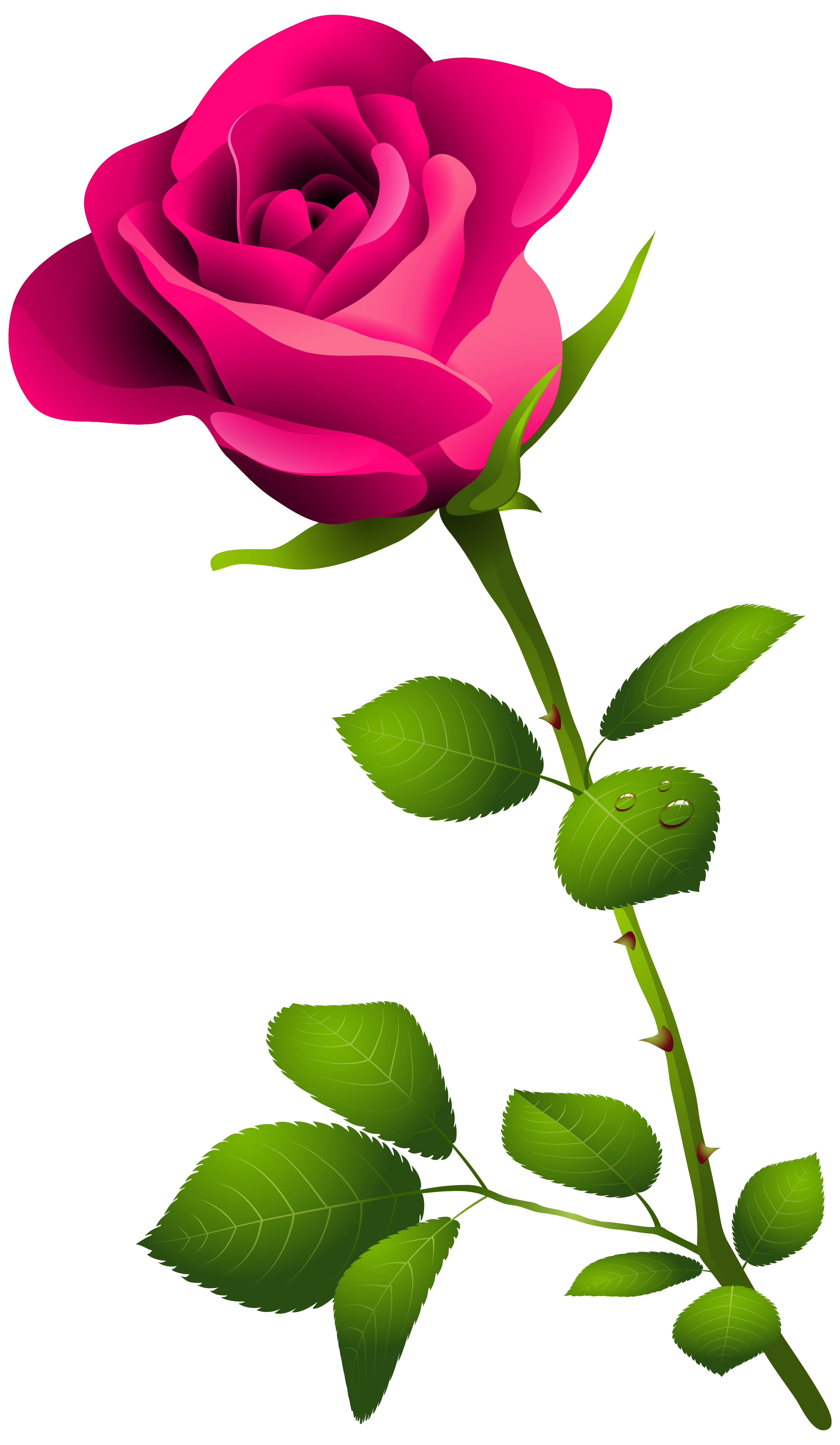 Pink Rose with Stem PNG Clipart Image | Gallery Yopriceville - High ...