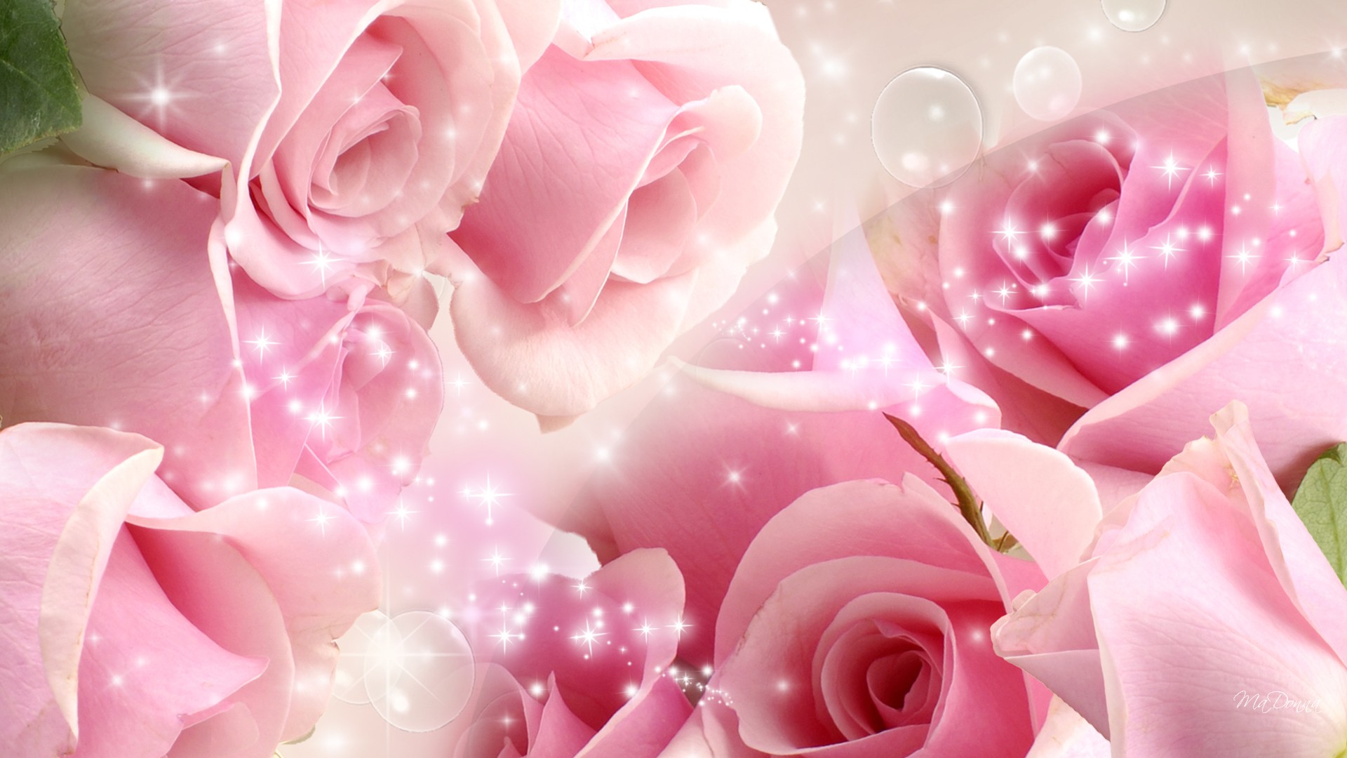 Flowers Cool Pink Rose wallpapers (Desktop, Phone, Tablet) - Awesome ...
