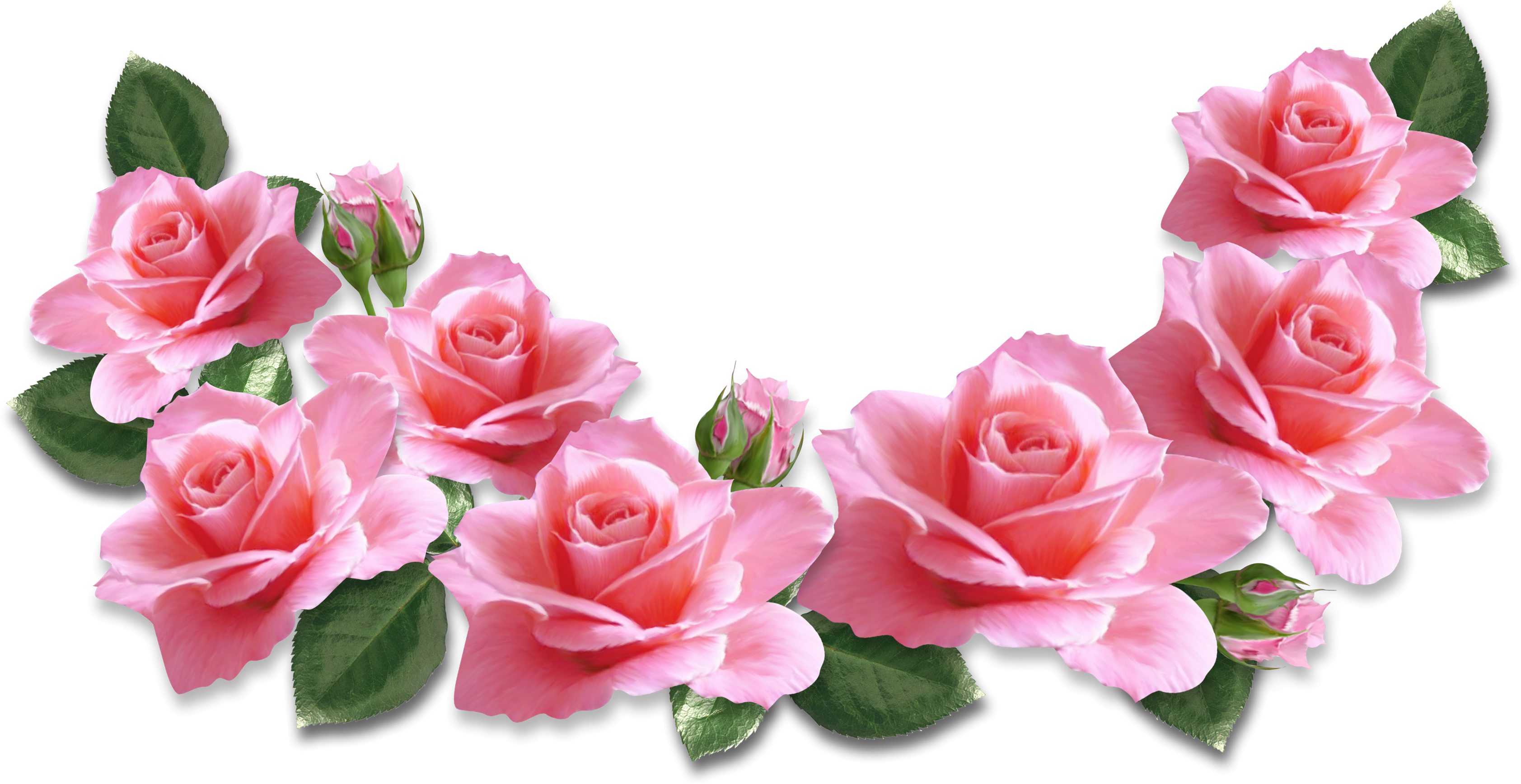 Pink Roses Decoration PNG Clipart Image | Gallery Yopriceville ...