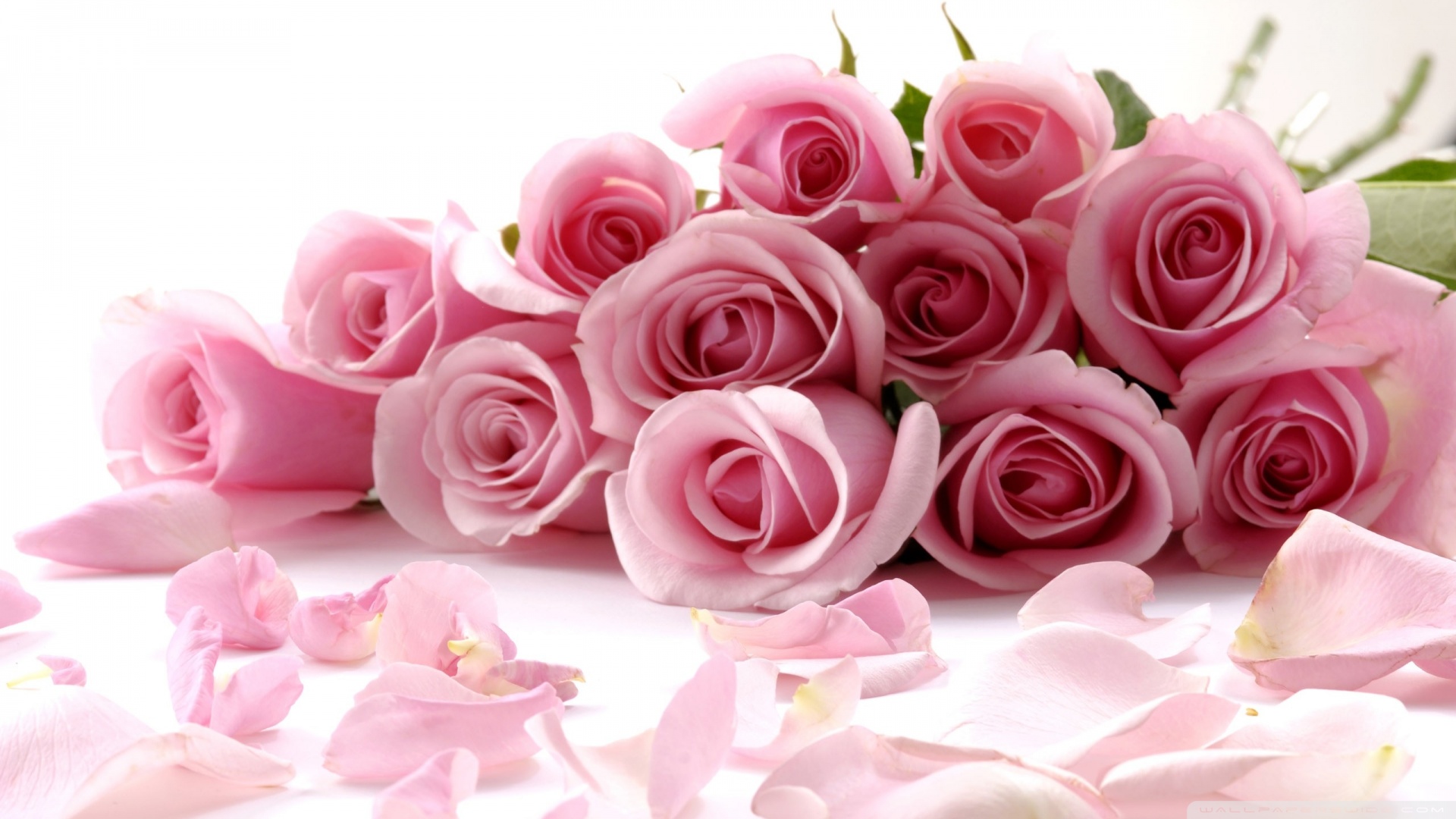 Pink Roses Bouquet ❤ 4K HD Desktop Wallpaper for 4K Ultra HD TV ...