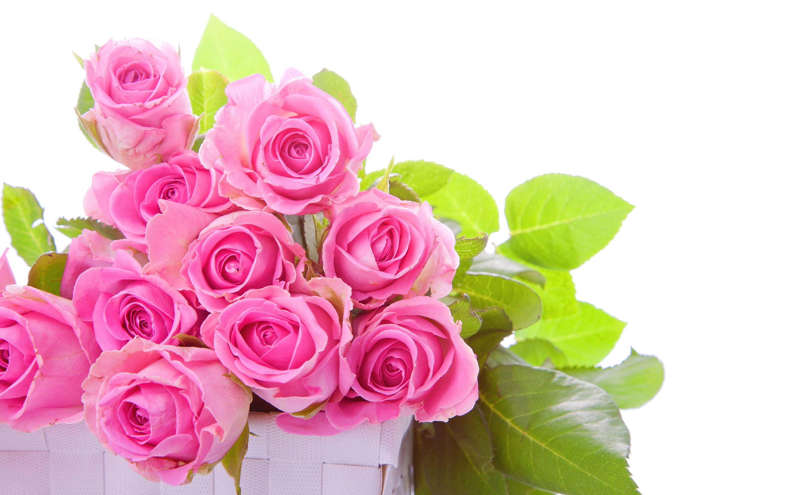 Photos For Pink Rose Flower Hd Desktop Roses Wallpaper Full Pics ...