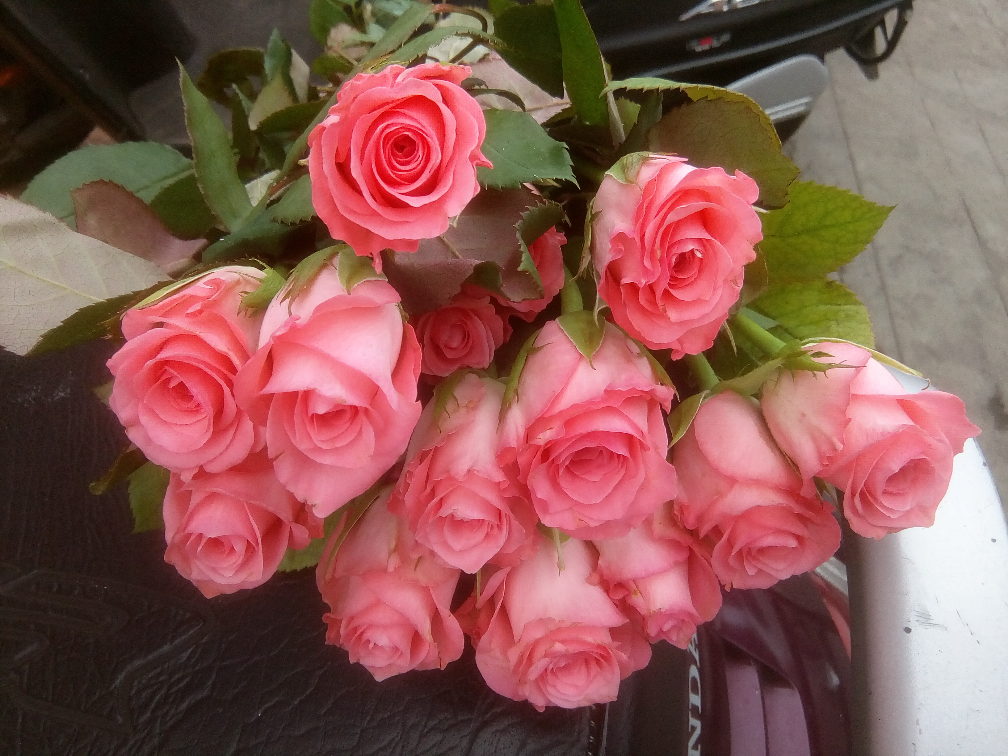 Pink Roses – Vizag City Flowers