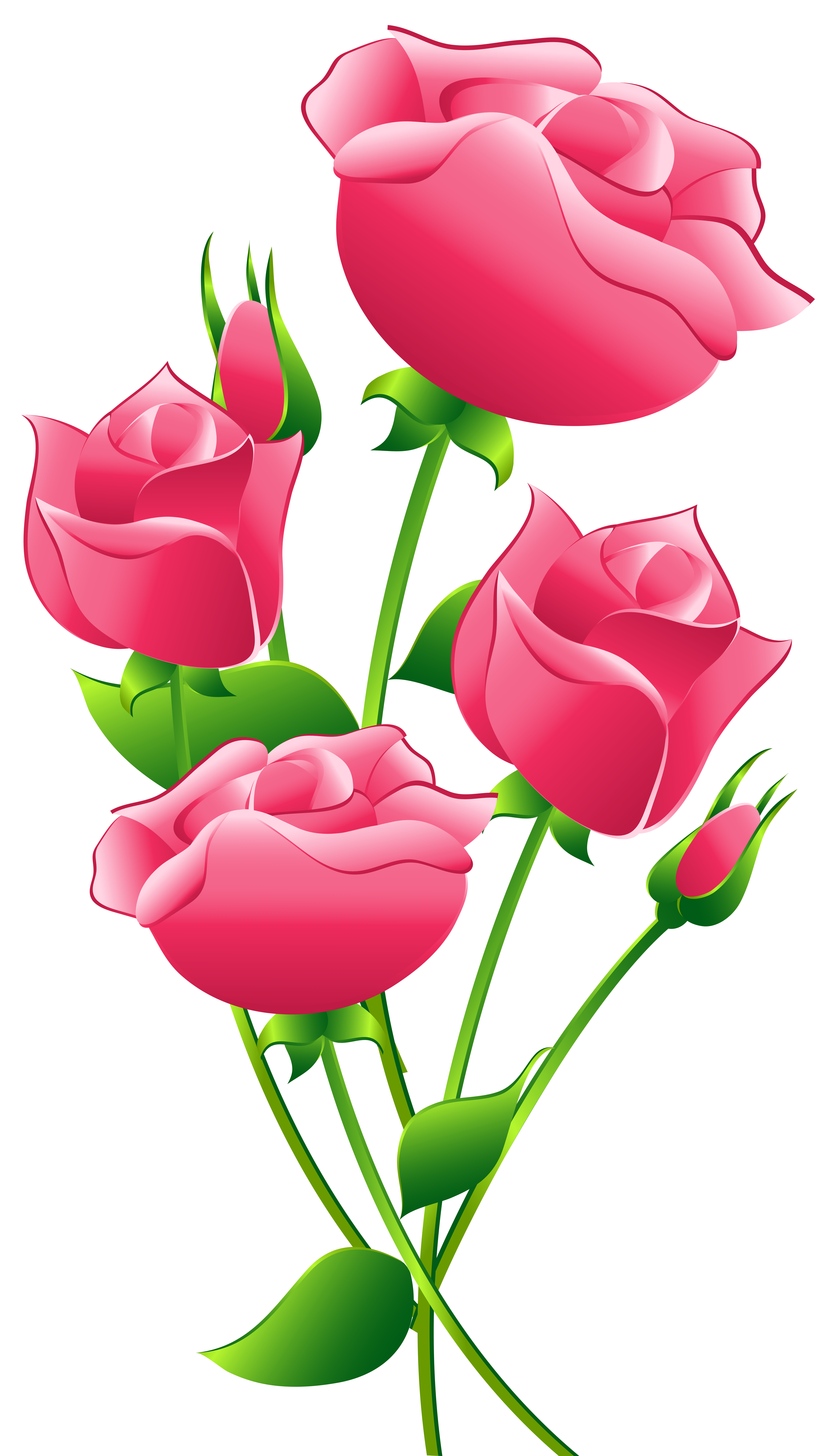 Pink Roses Transparent PNG Clip Art Image | Gallery Yopriceville ...