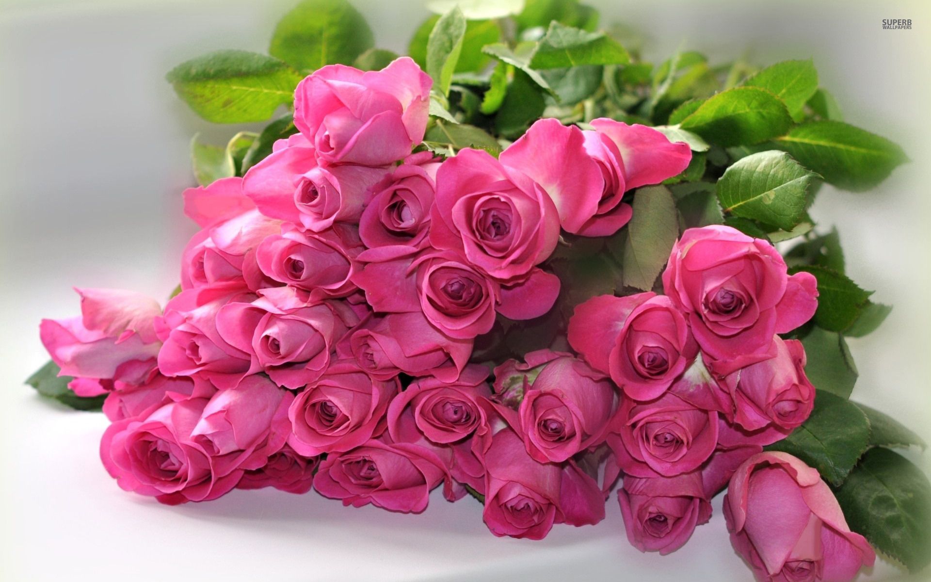 pink-roses-1920x1200.jpg 1,920×1,200 pixels | Wallpapers | Pinterest ...