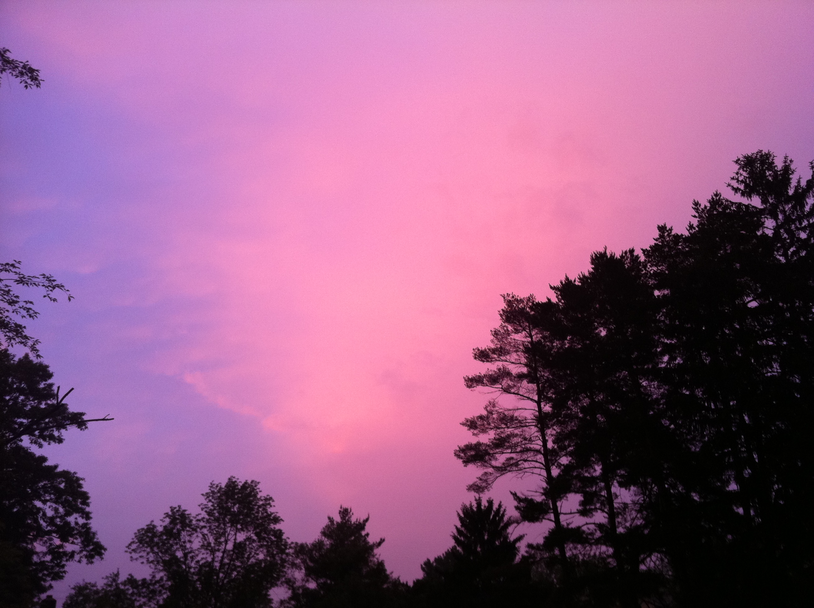 Pink sky photo