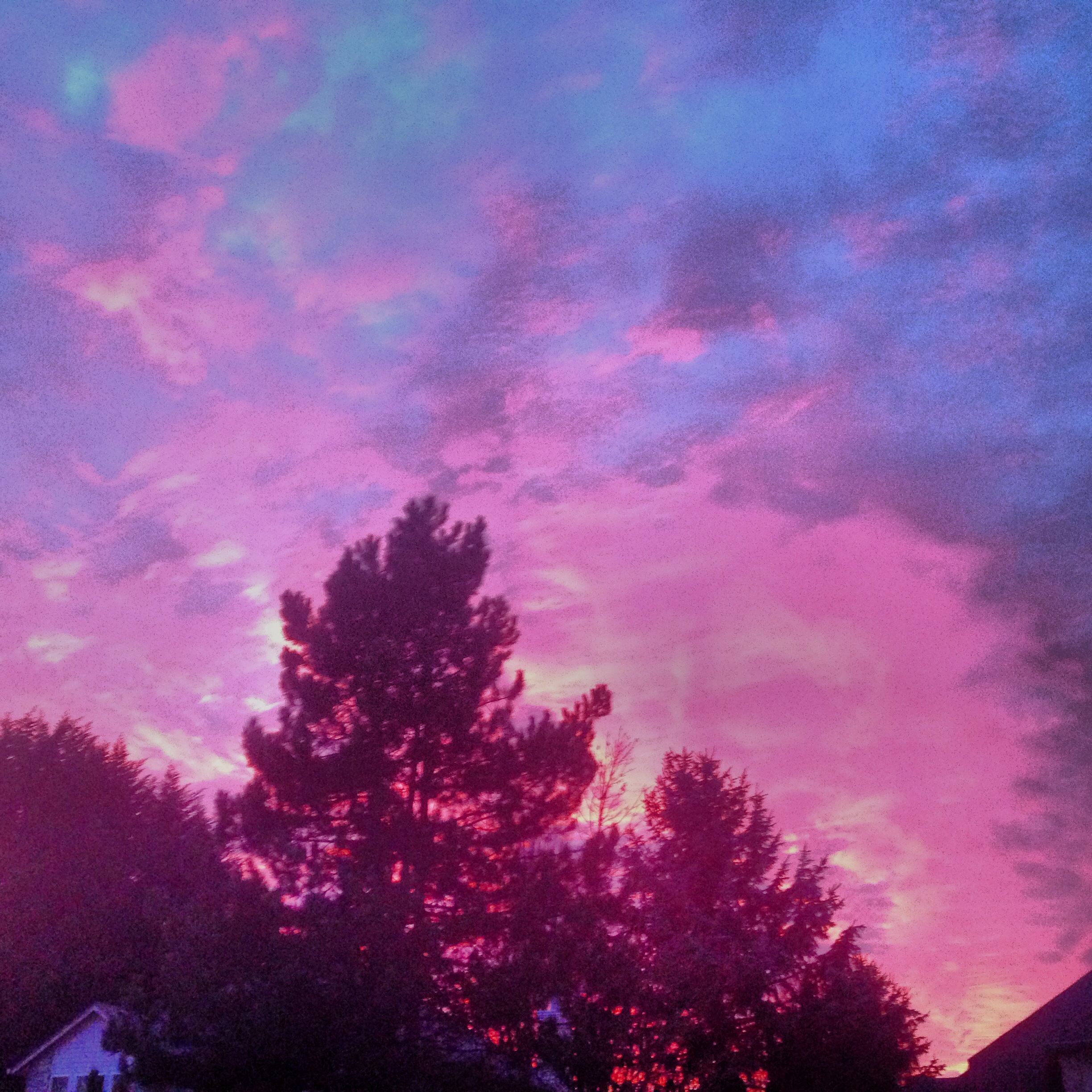 File:Pink sky.jpg - Wikimedia Commons