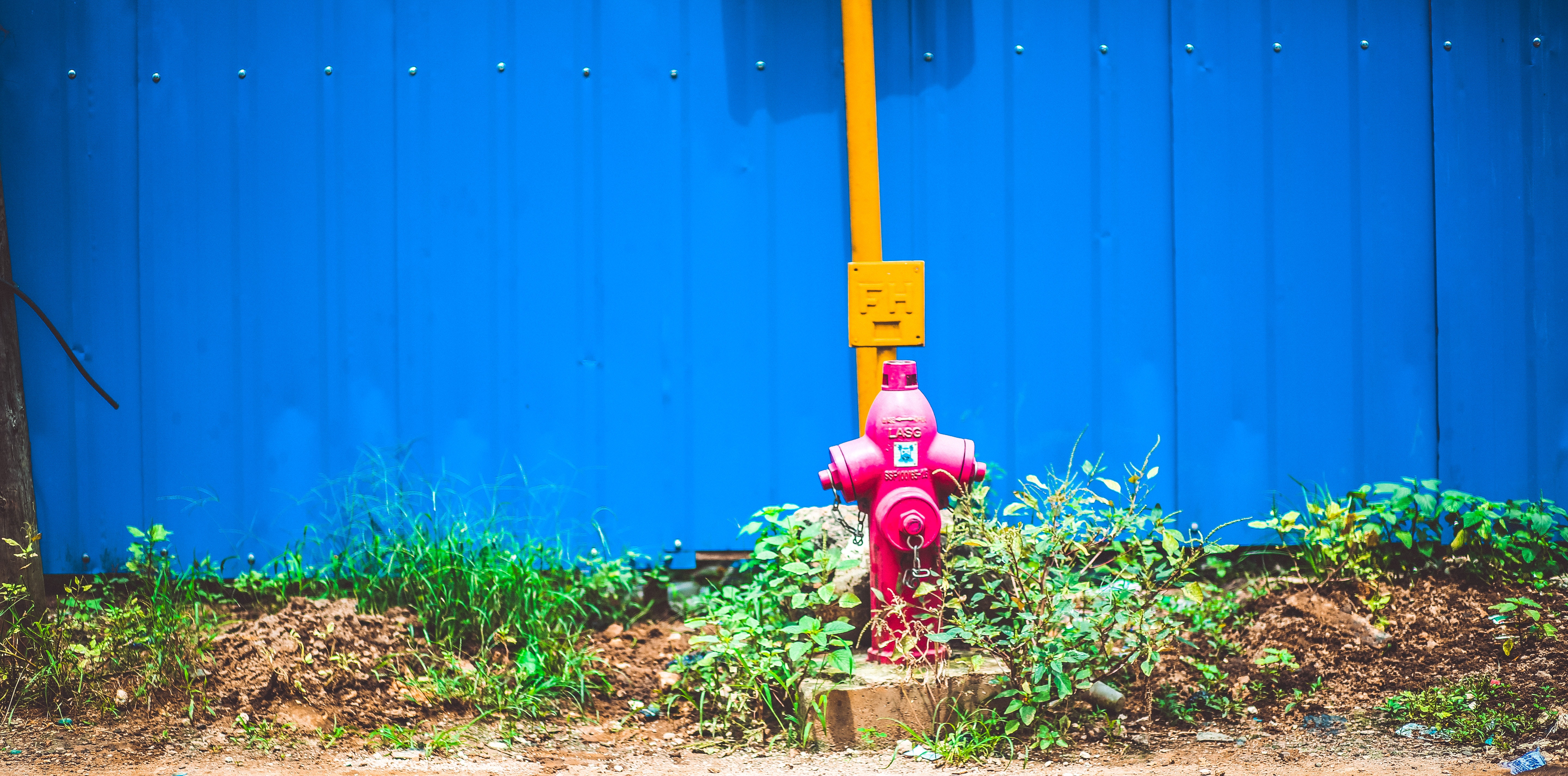 Pink steel water pump behind blue fence photo