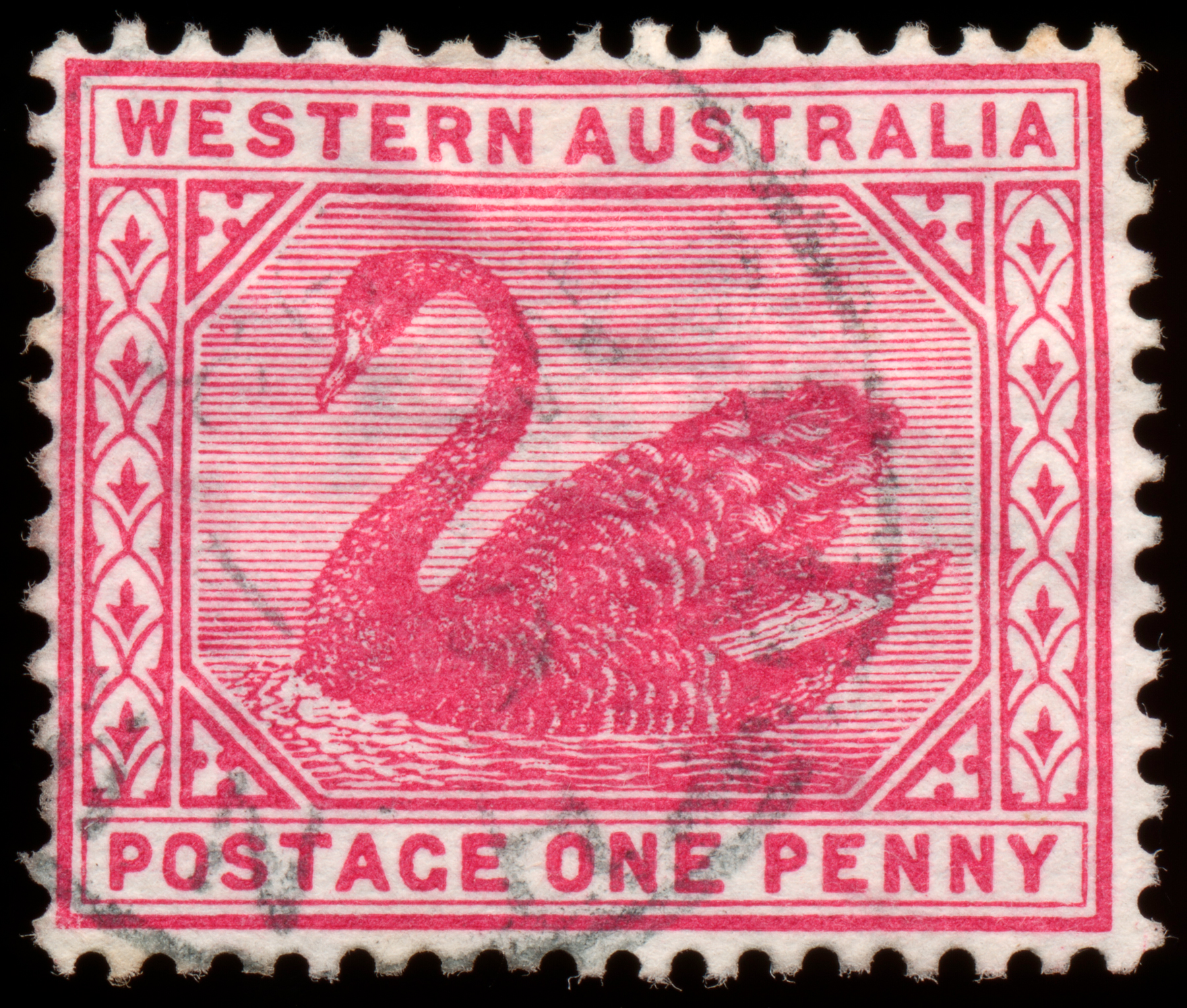 Pink Swan Stamp, 1, Postage, Red, Rectangular, HQ Photo