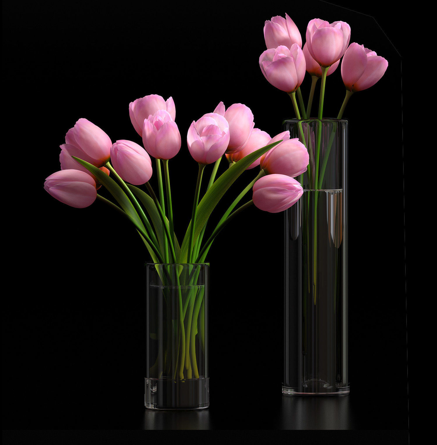 3D model pink tulip set 5 | CGTrader