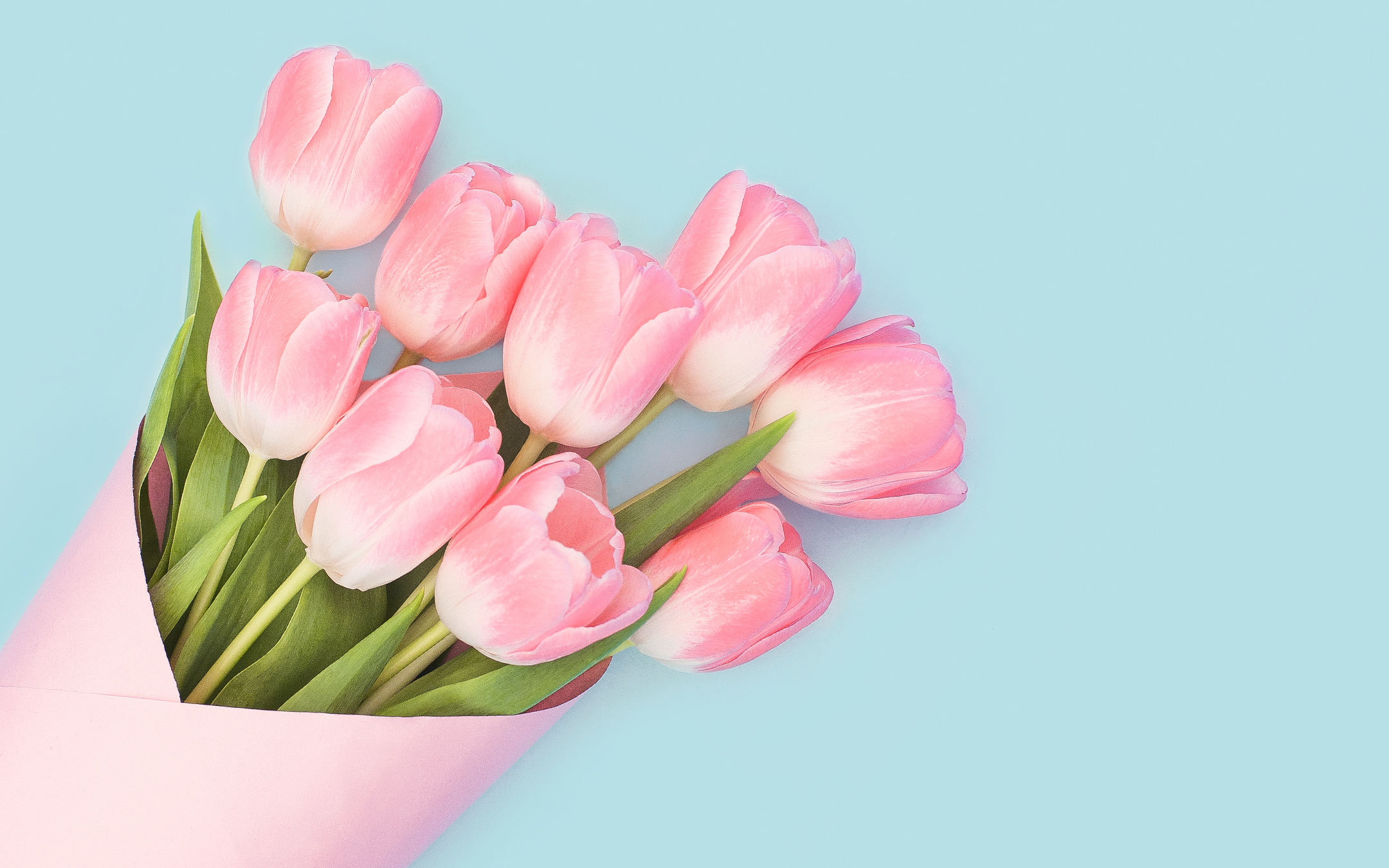 Baby Pink Tulips | Hd Wallpapers Download - 4K Wallpapers Download Free
