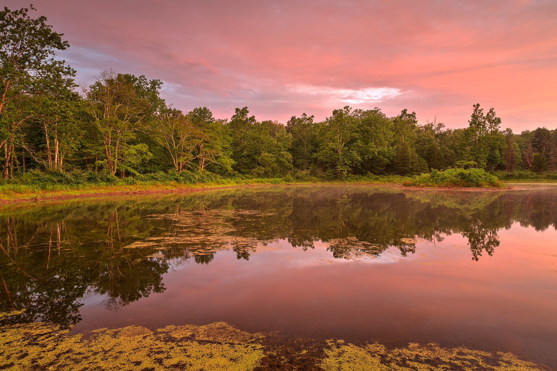 Pink Twilight Marsh - HDR, America, Pond, Scenic, Scenery, HQ Photo