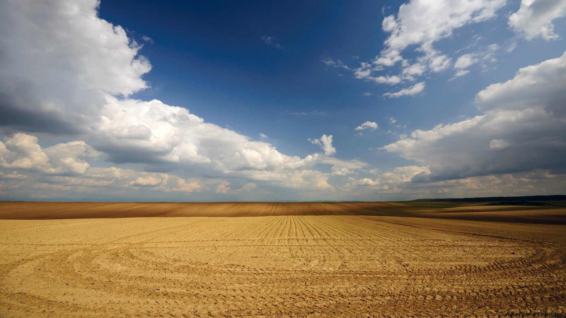 field, plain, infinite, clouds » AdorableTab.com