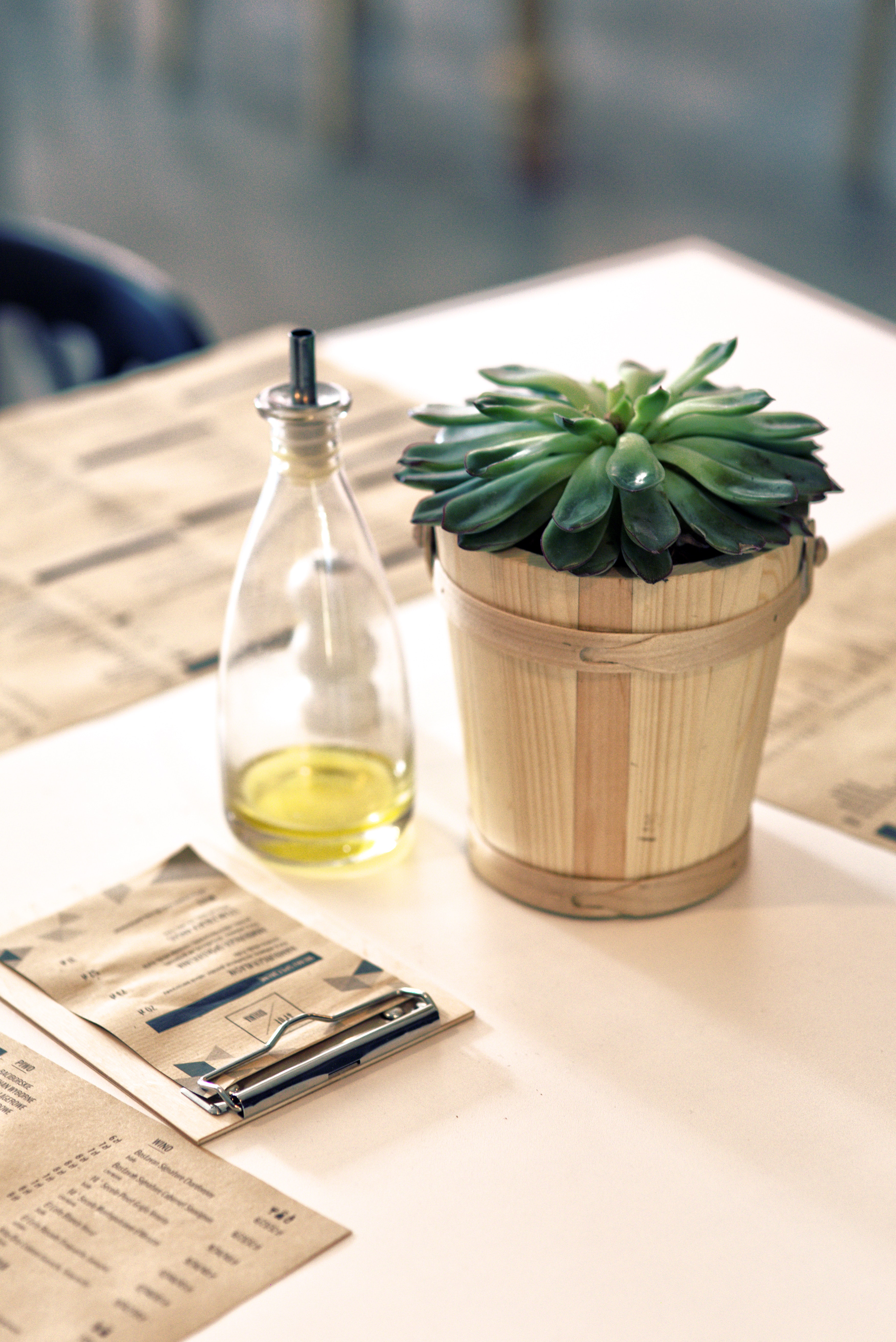 Plant & oil on the table, Bottle, Paper, Wood, Wine, HQ Photo