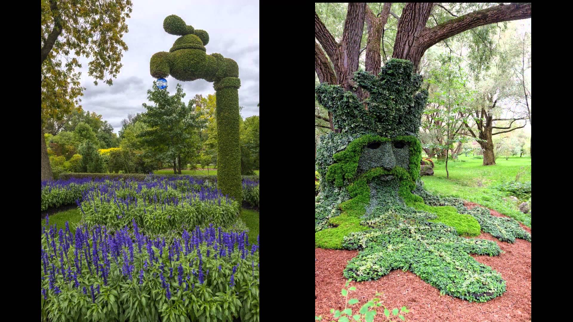 Plant Art - Images of Plant Sculptures - YouTube