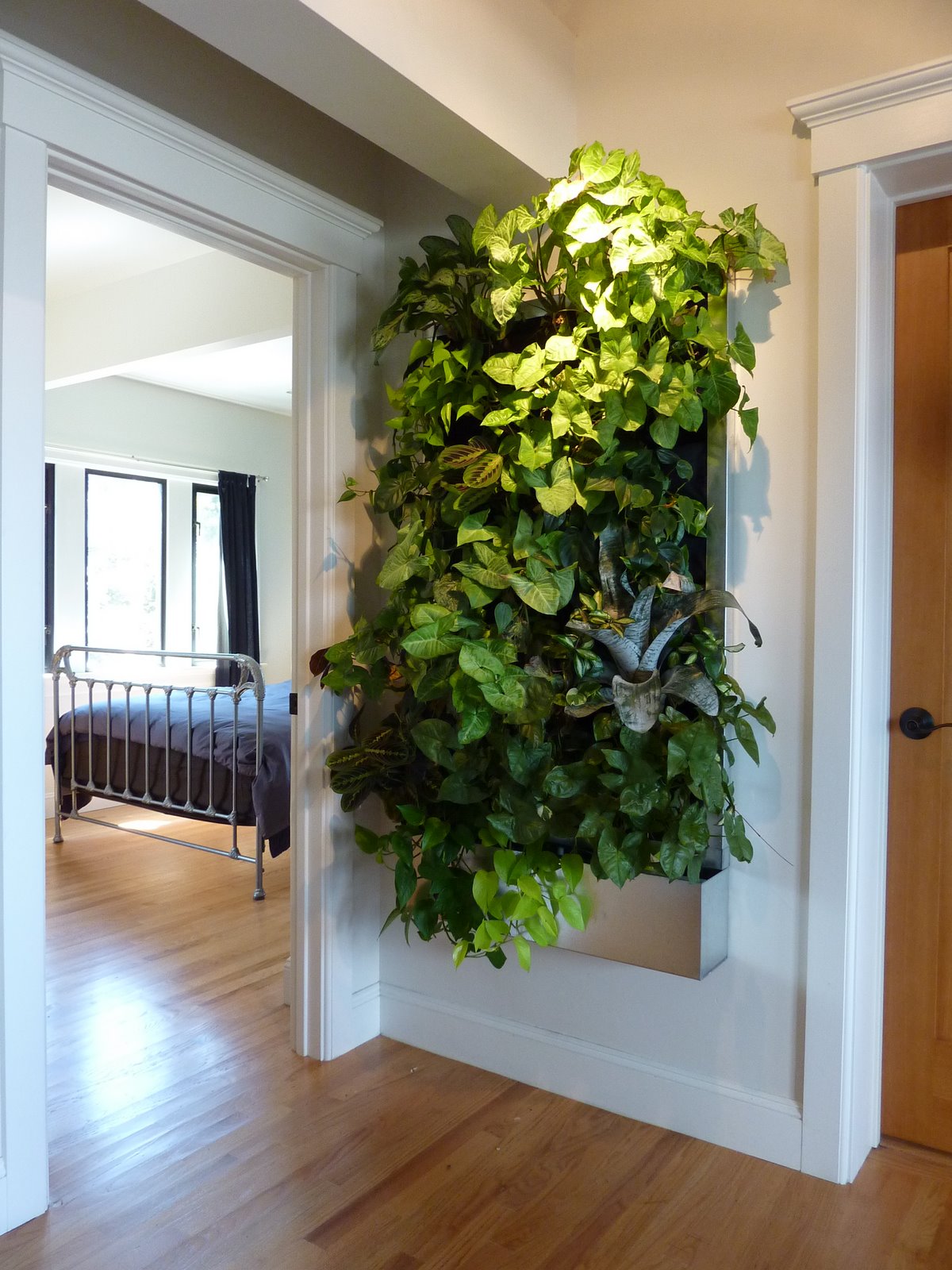10 Stylish Indoor Plant Displays — LED Grow Lights