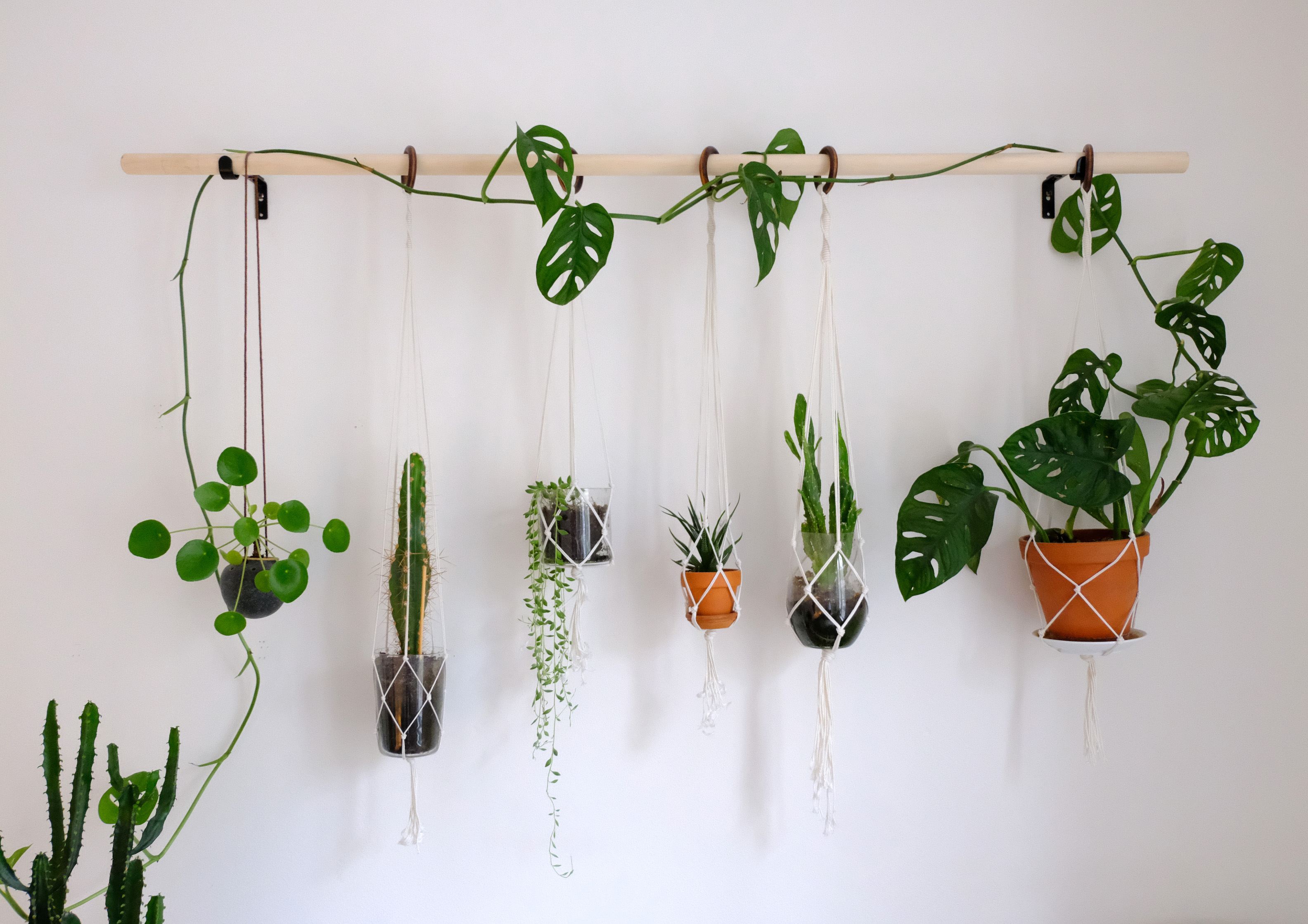 DIY hanging plant wall with macrame planters