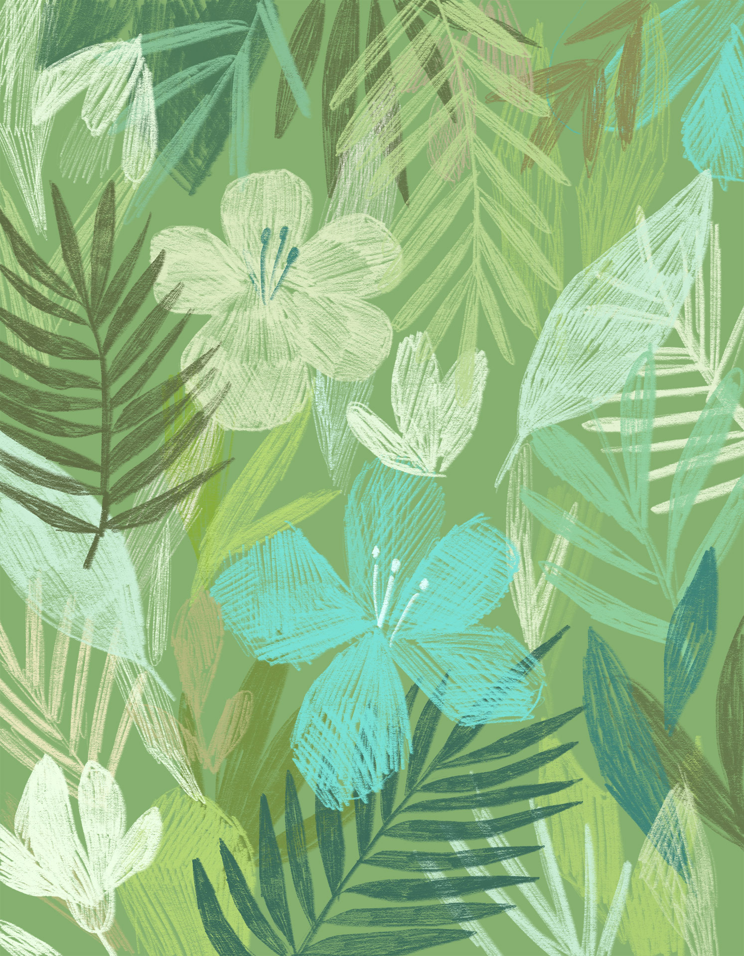 Plant Patterns – Lily Albertine