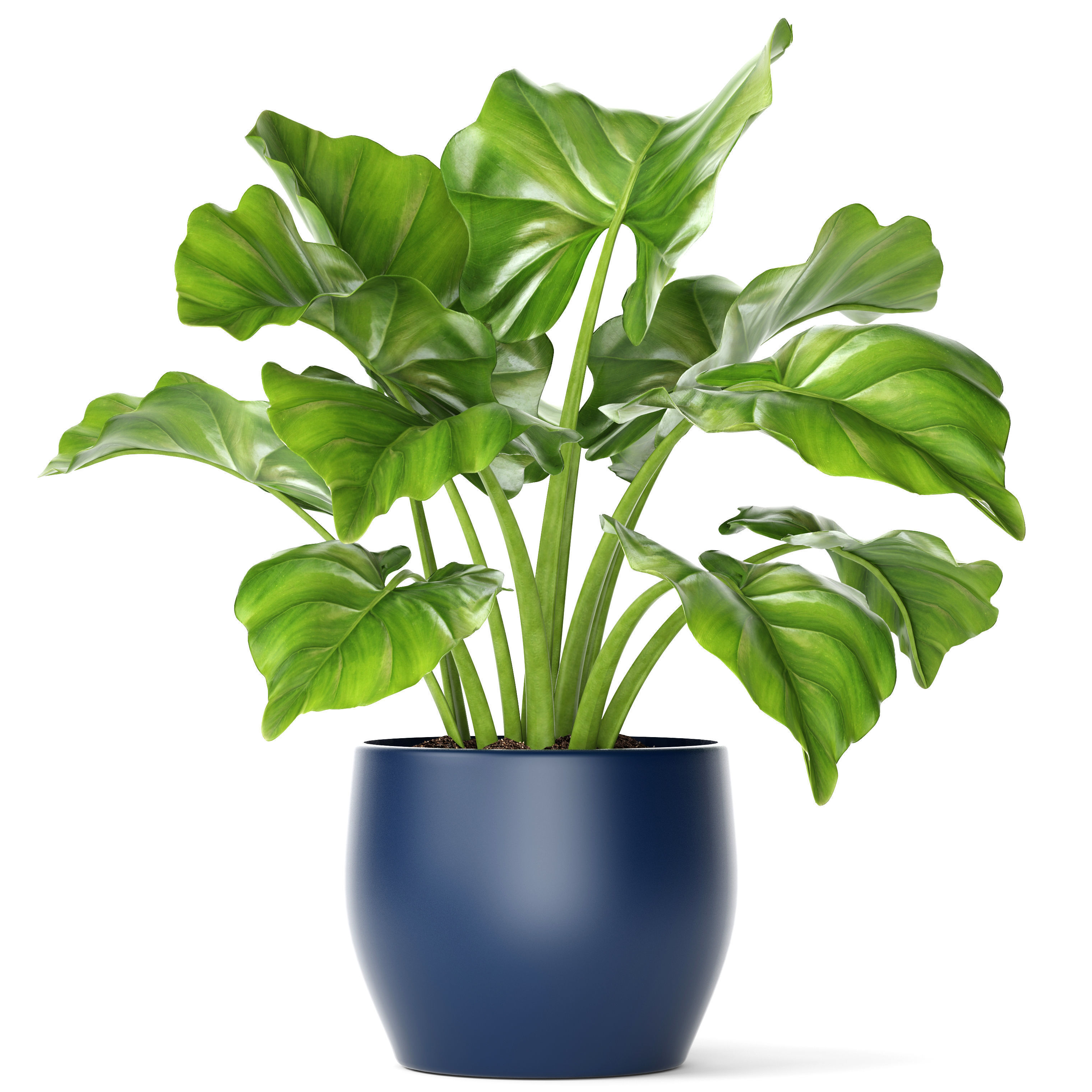 3D Plant pot interior | CGTrader
