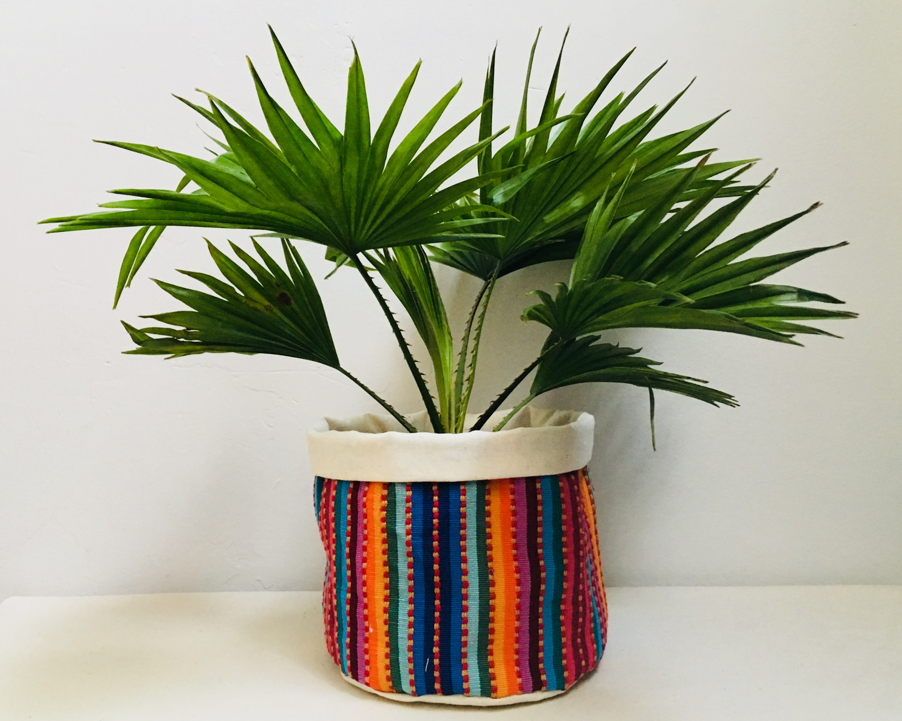 Plant Pot Macaw - Fabric Storage Bag Handmade Homeware