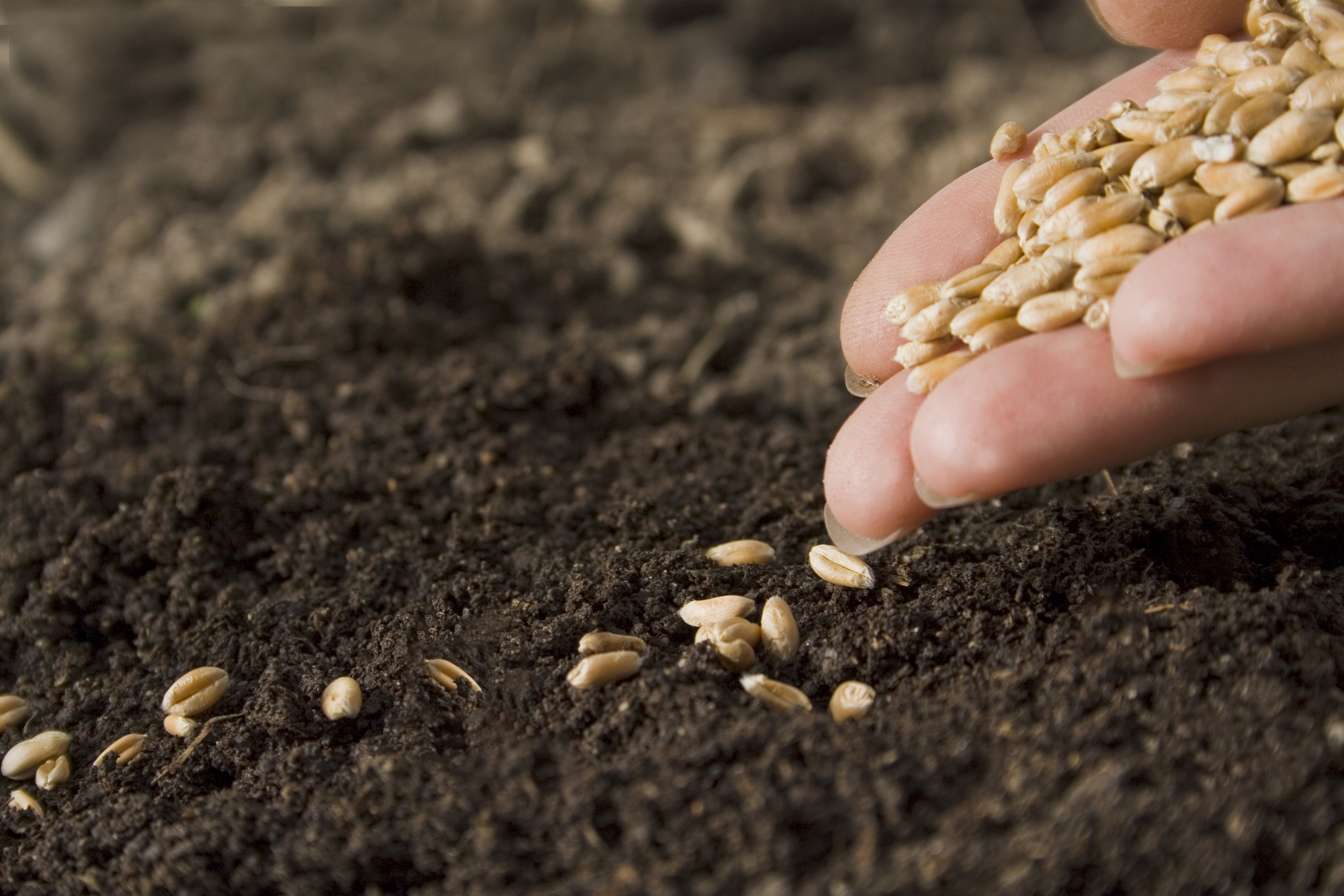 5 Steps to Plant the Seeds to Grow Your Network - THE BRAND BUILDER ...