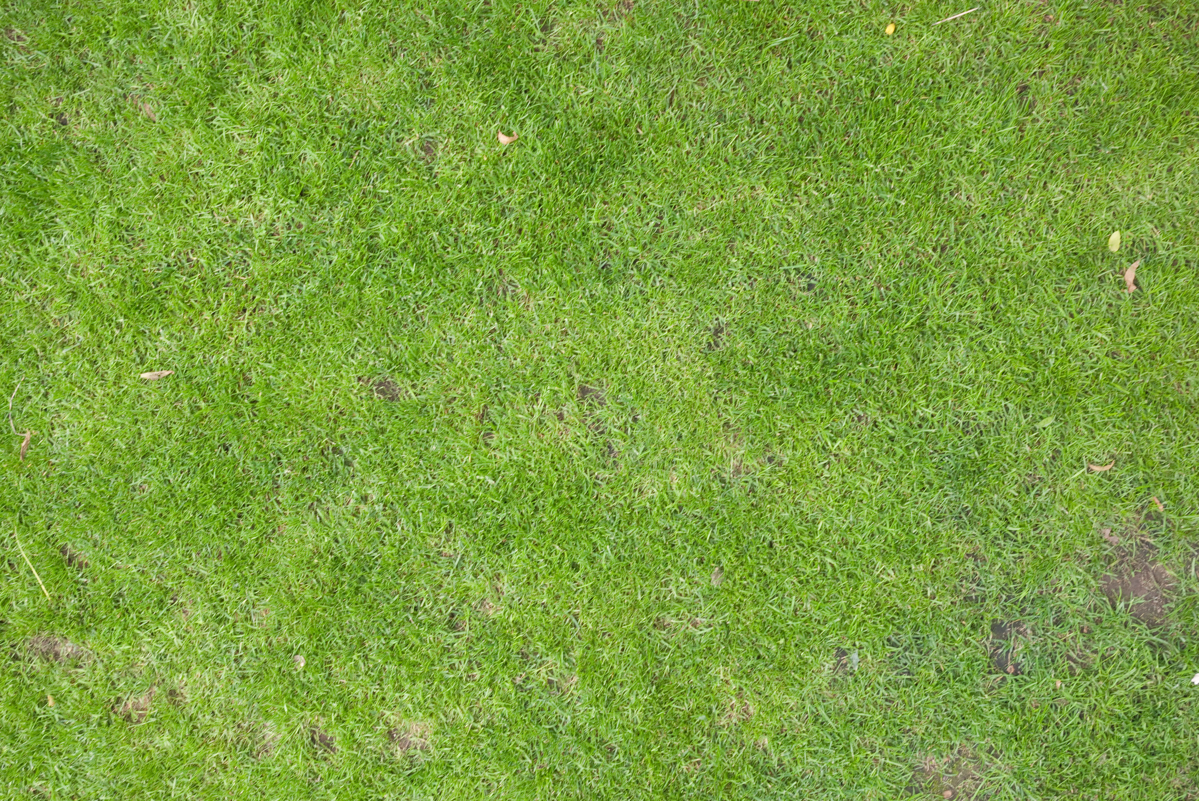 Акварельная текстура травы для генплана