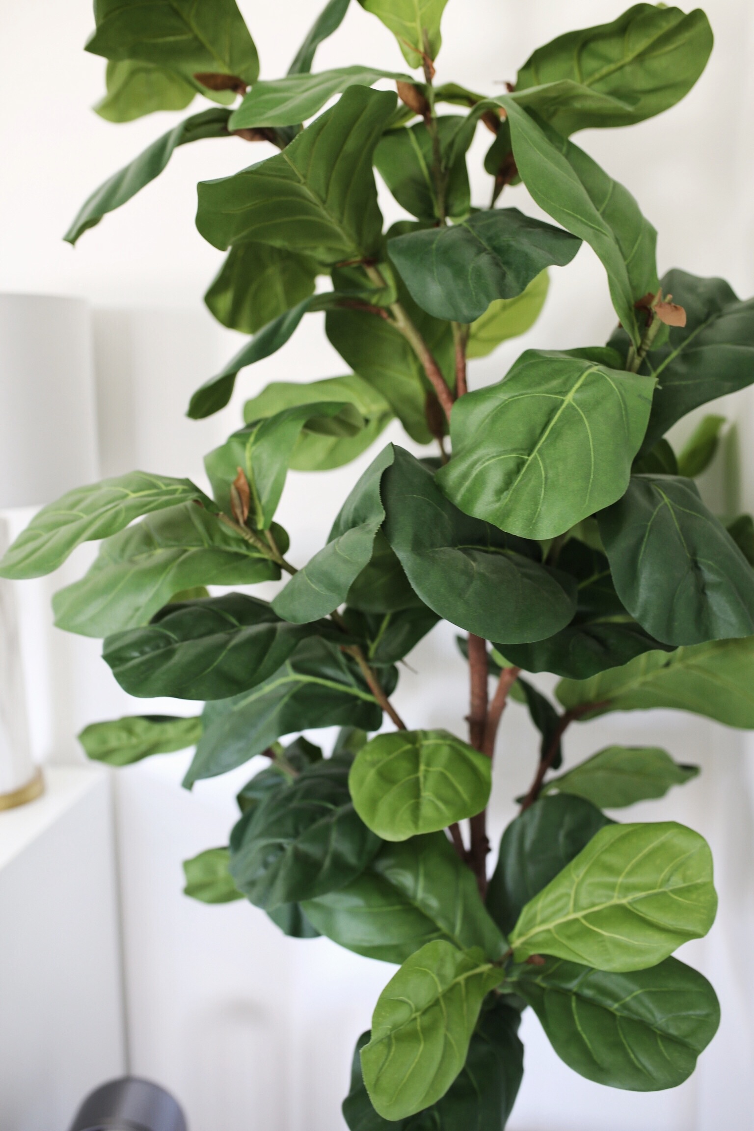 The Best Faux Plants for the Home & Where to Buy Them - Gypsy Tan