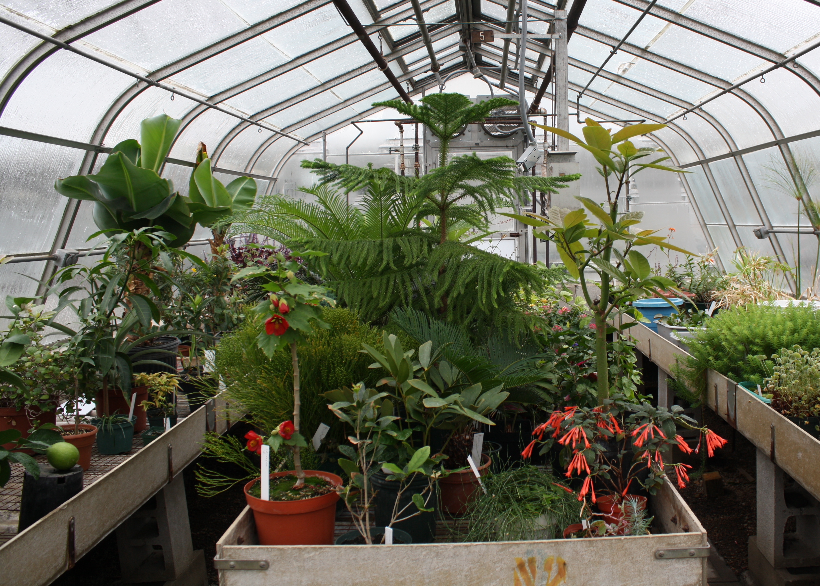 plants | URI Botanical Gardens Blog