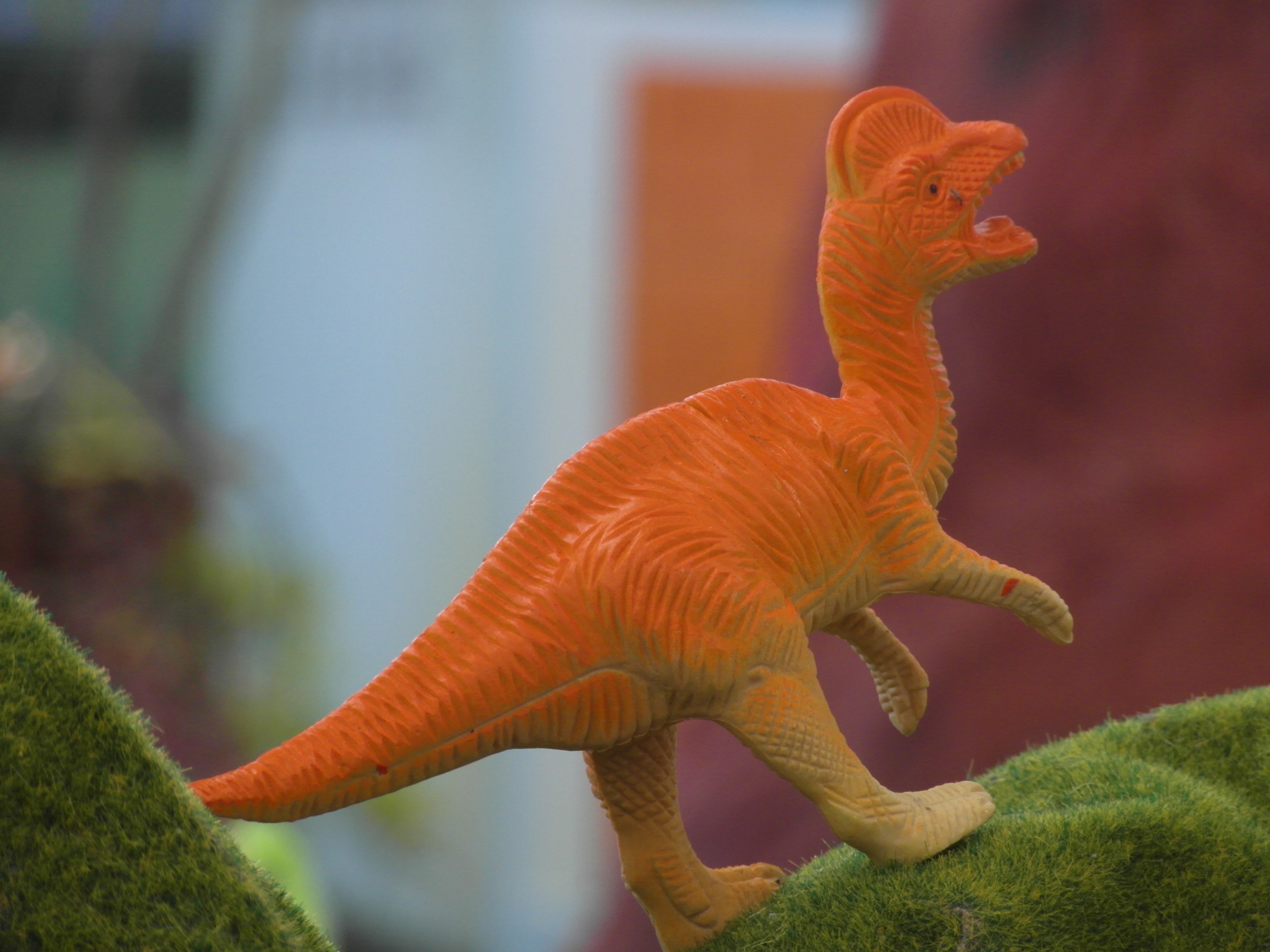 Plastic Dinosaur Toy, Animal, Childrens, Dino, Dinosaur, HQ Photo