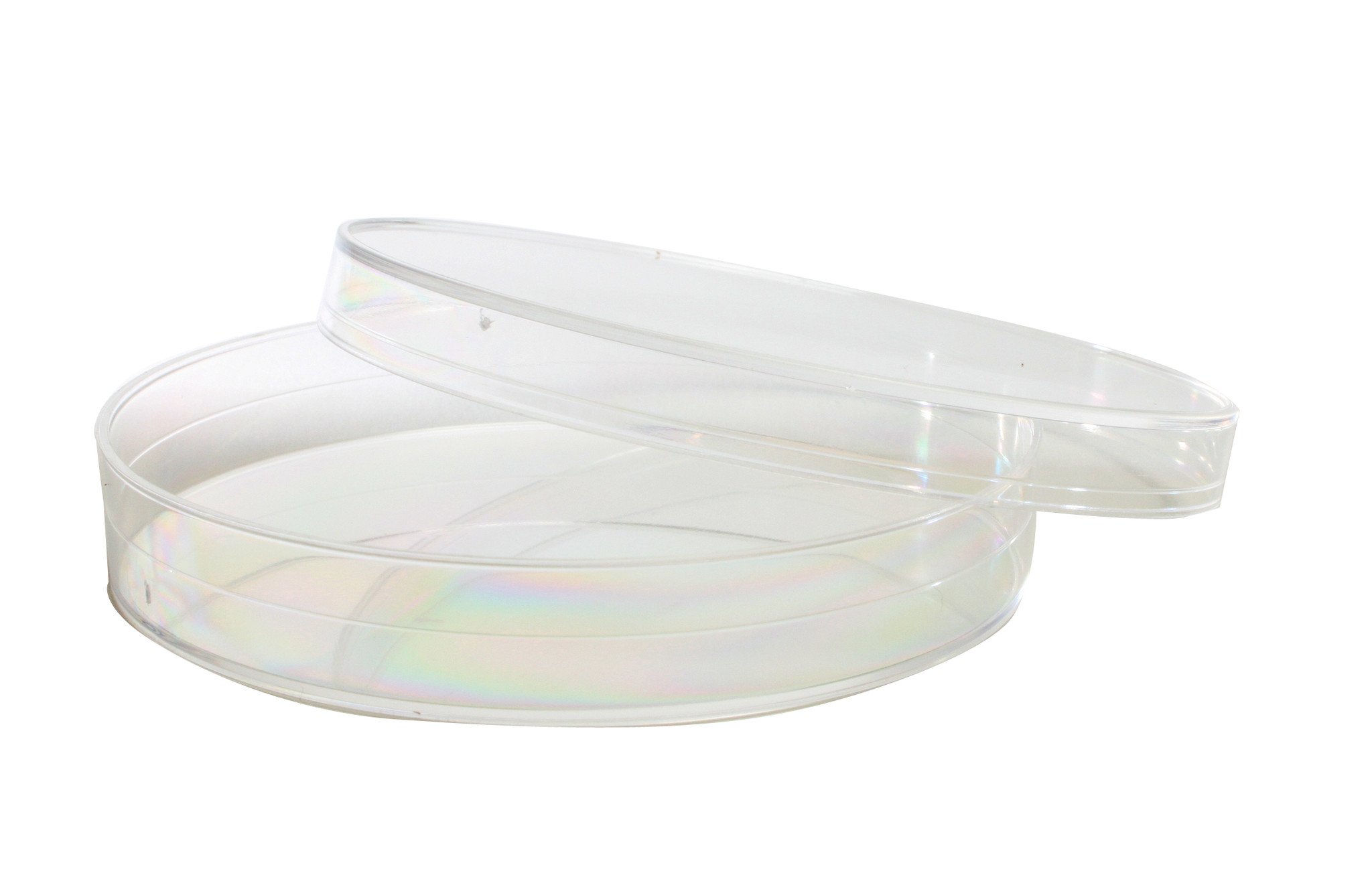 Petri Dish, plastic | Home Educational Resources