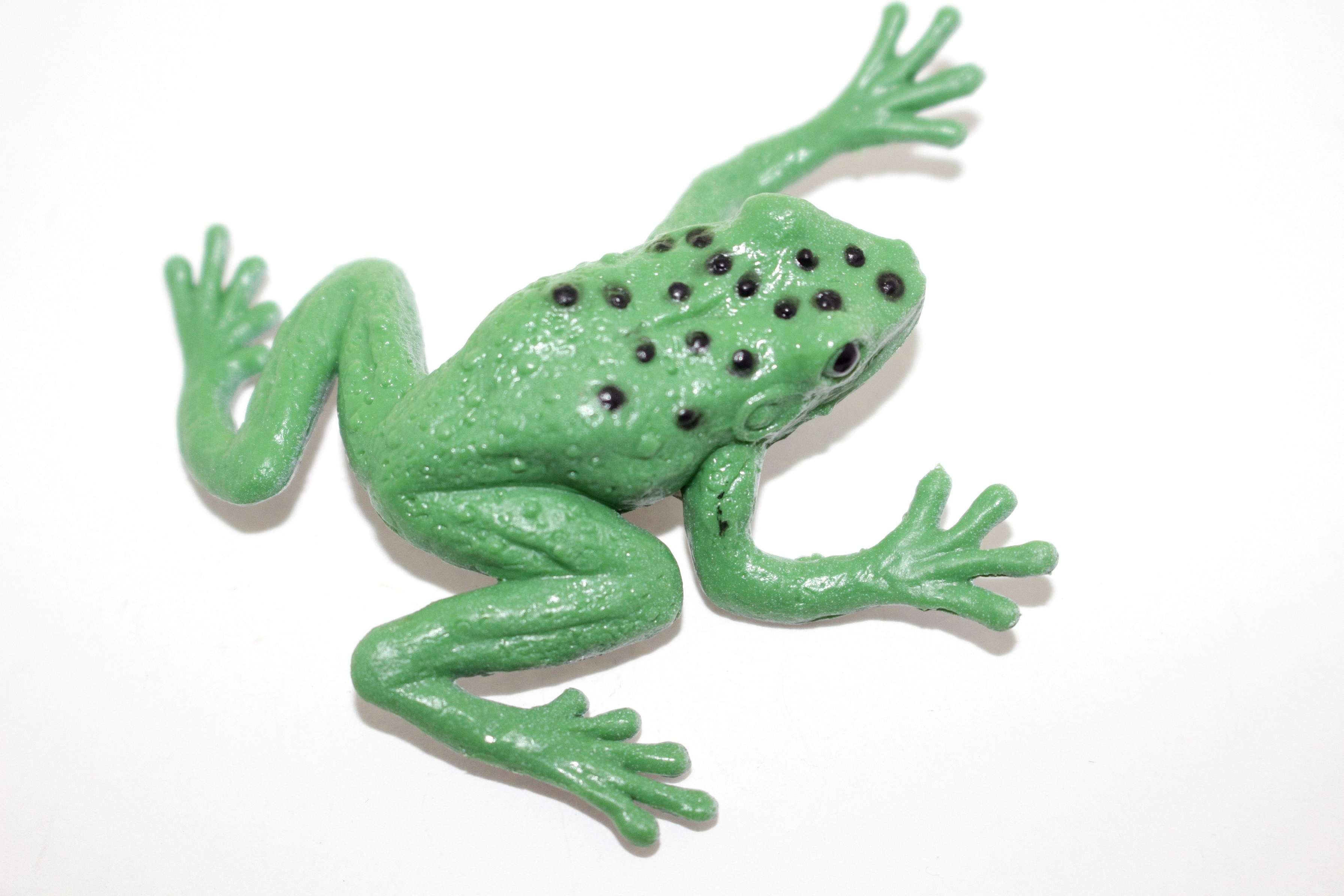 Green Tree Frog ~ Plastic Replica ~ F7011-B33 - Collectible Wildlife ...