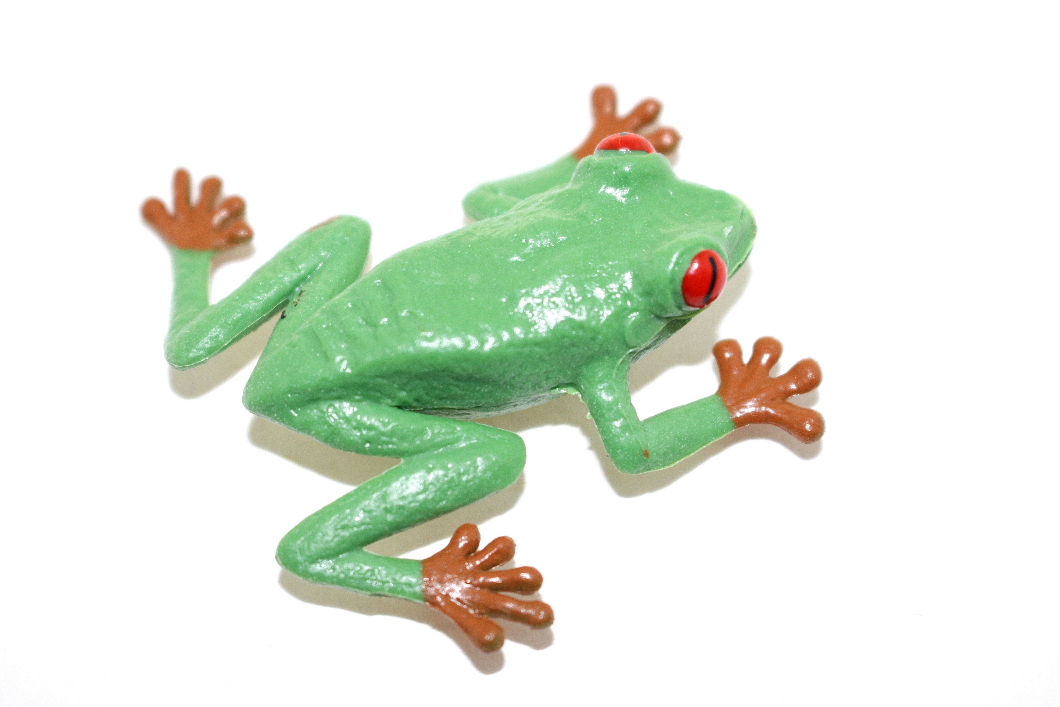 Red Eyed Tree Frog ~ Plastic Replica ~ F7008-b33 - Collectible ...