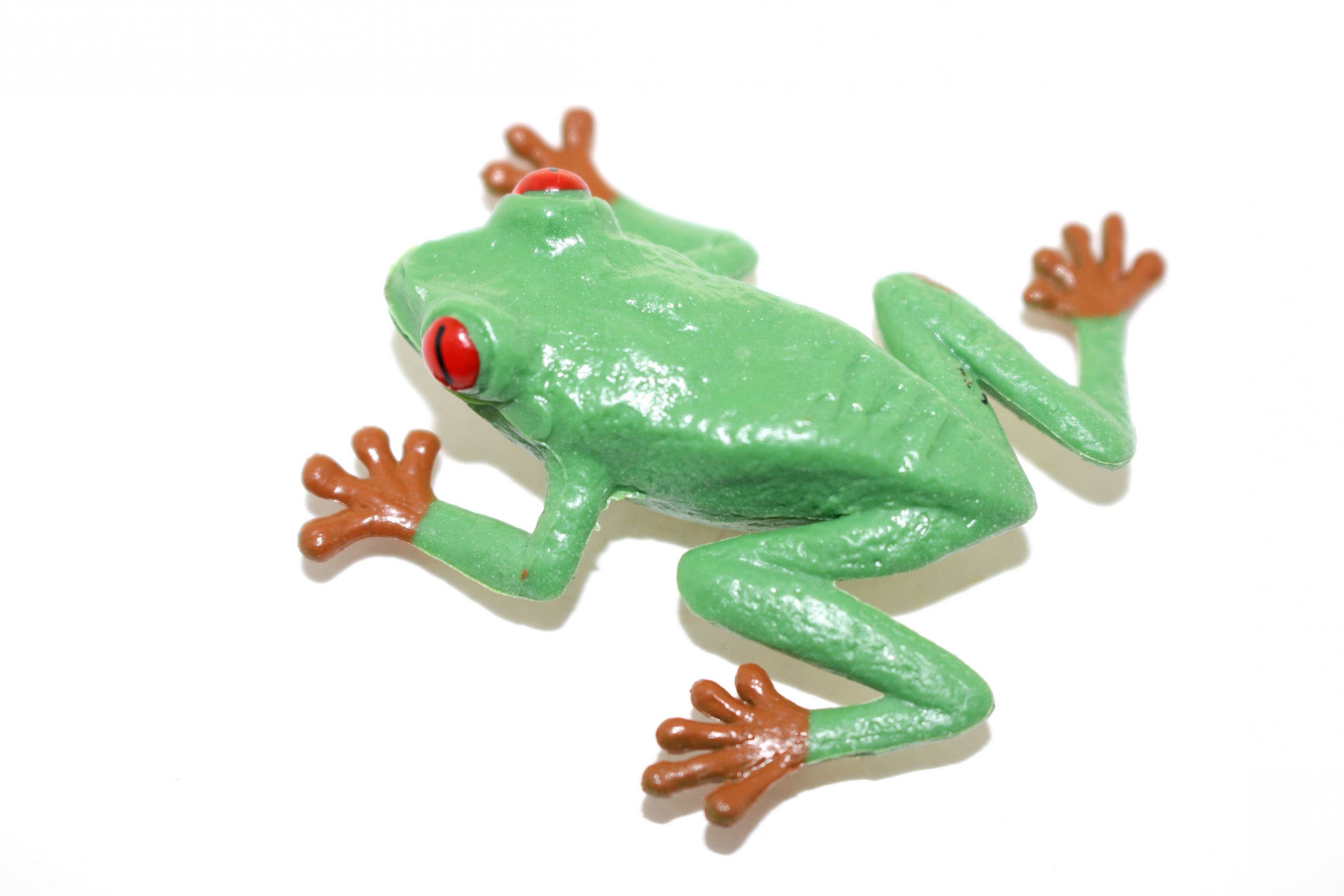 Frog f165