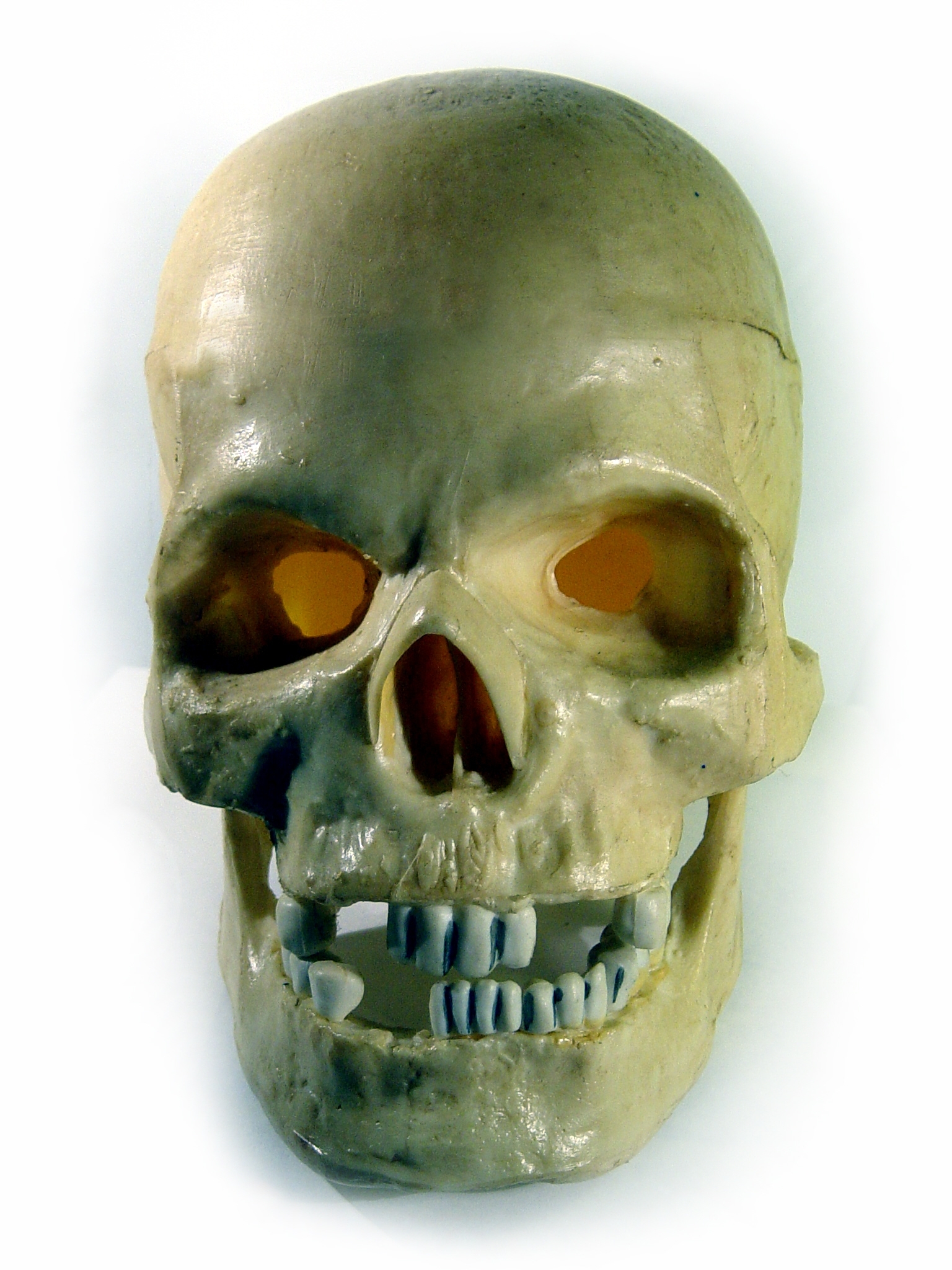 Plastic Skull Photoshop Contest (18130), Pictures Page 1 - Pxleyes.com