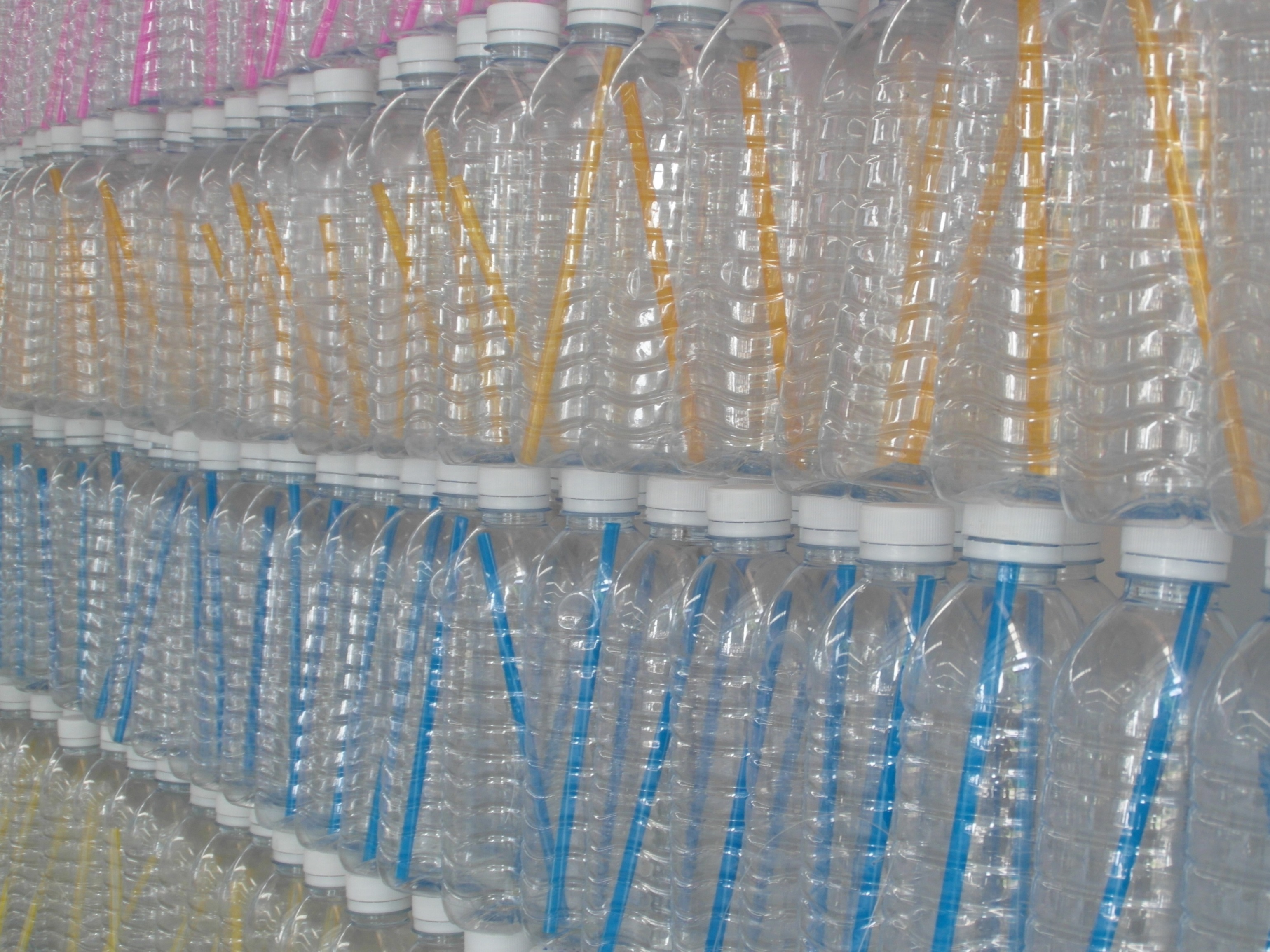 Plastic water bottles photo