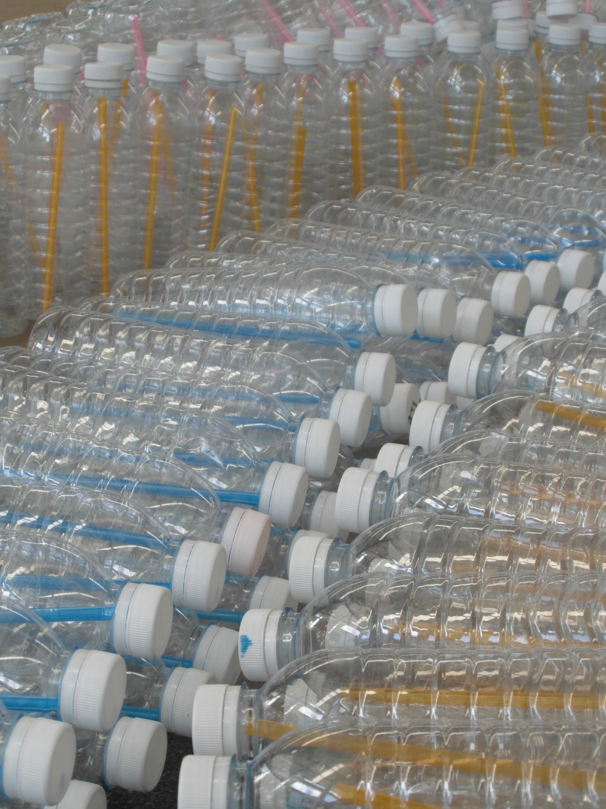 Plastic water bottles photo