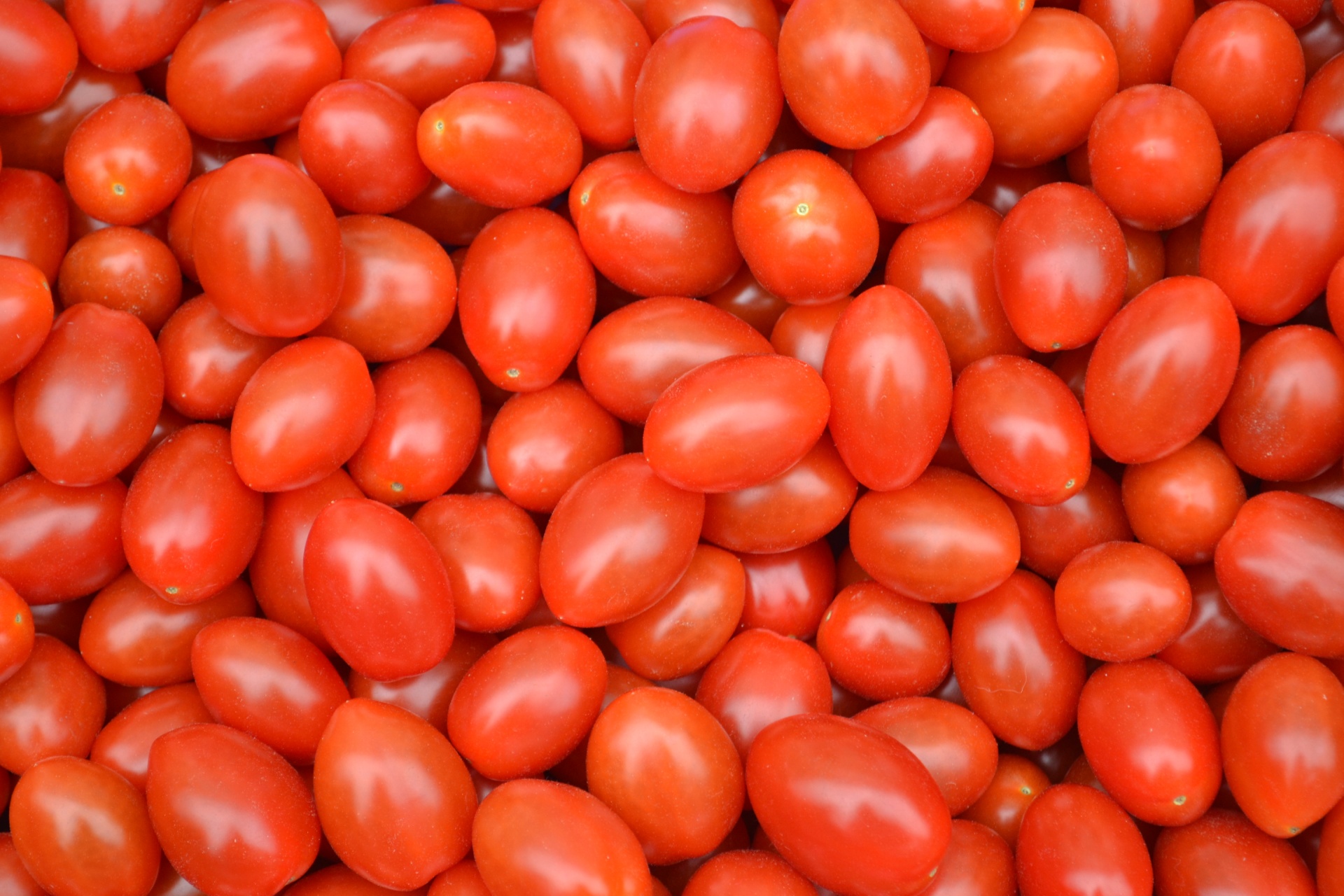 Baby Plum Tomatoes Free Stock Photo - Public Domain Pictures