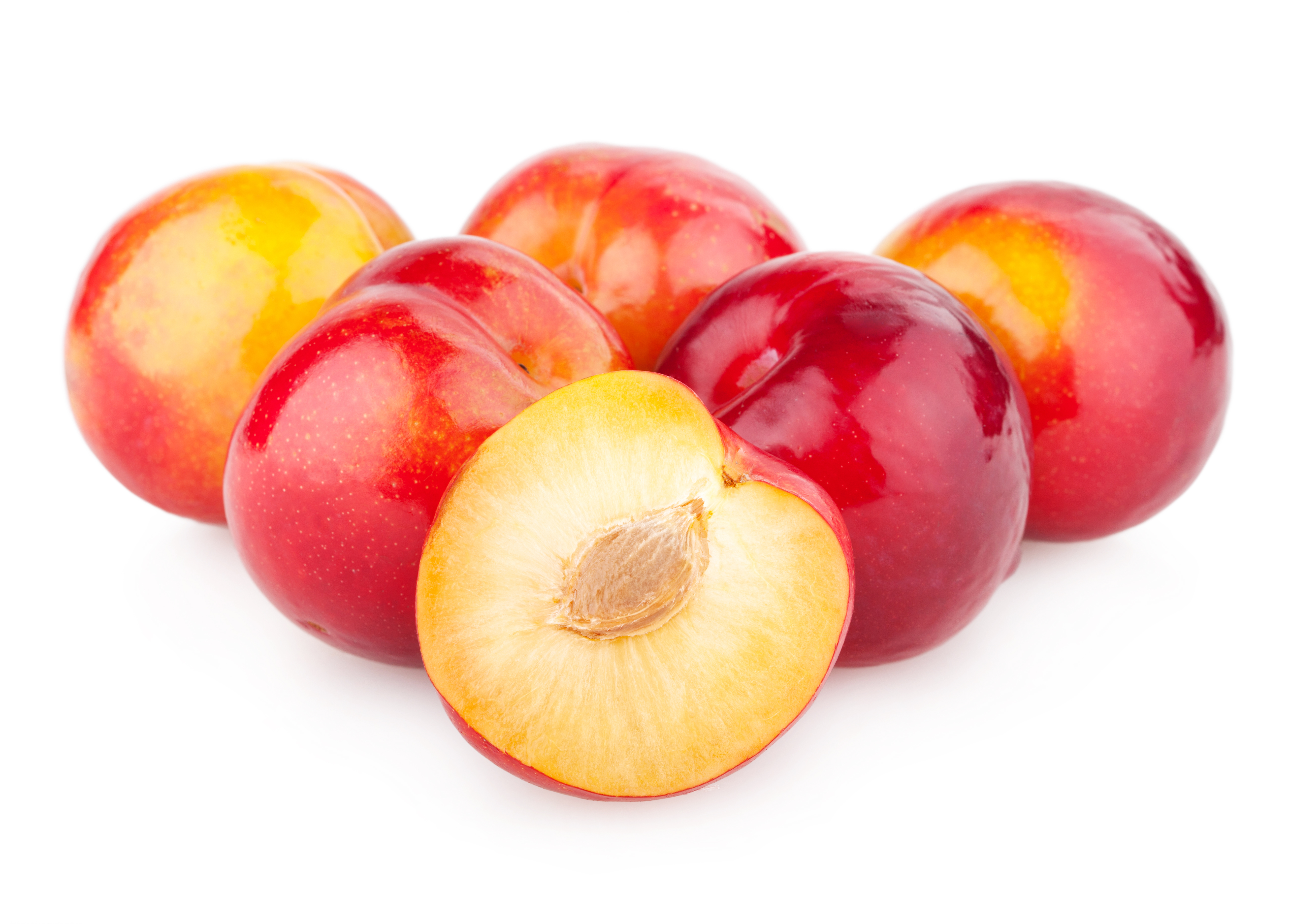 Plums isolated on white background photo